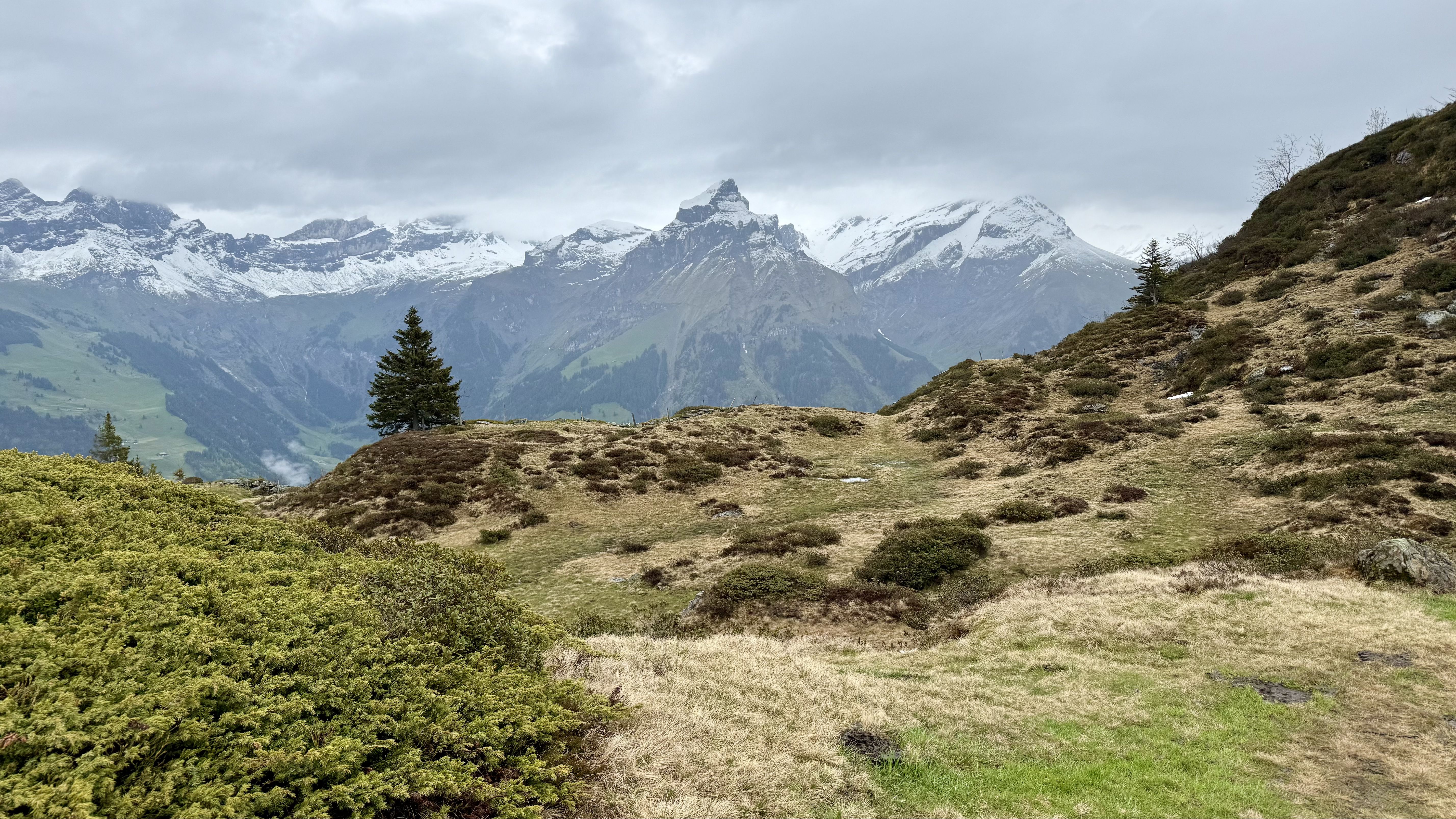 aerial photo of truebsee, Switzerland