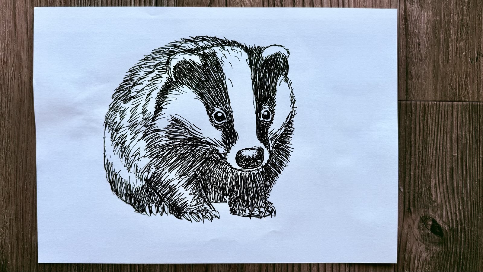 drawing