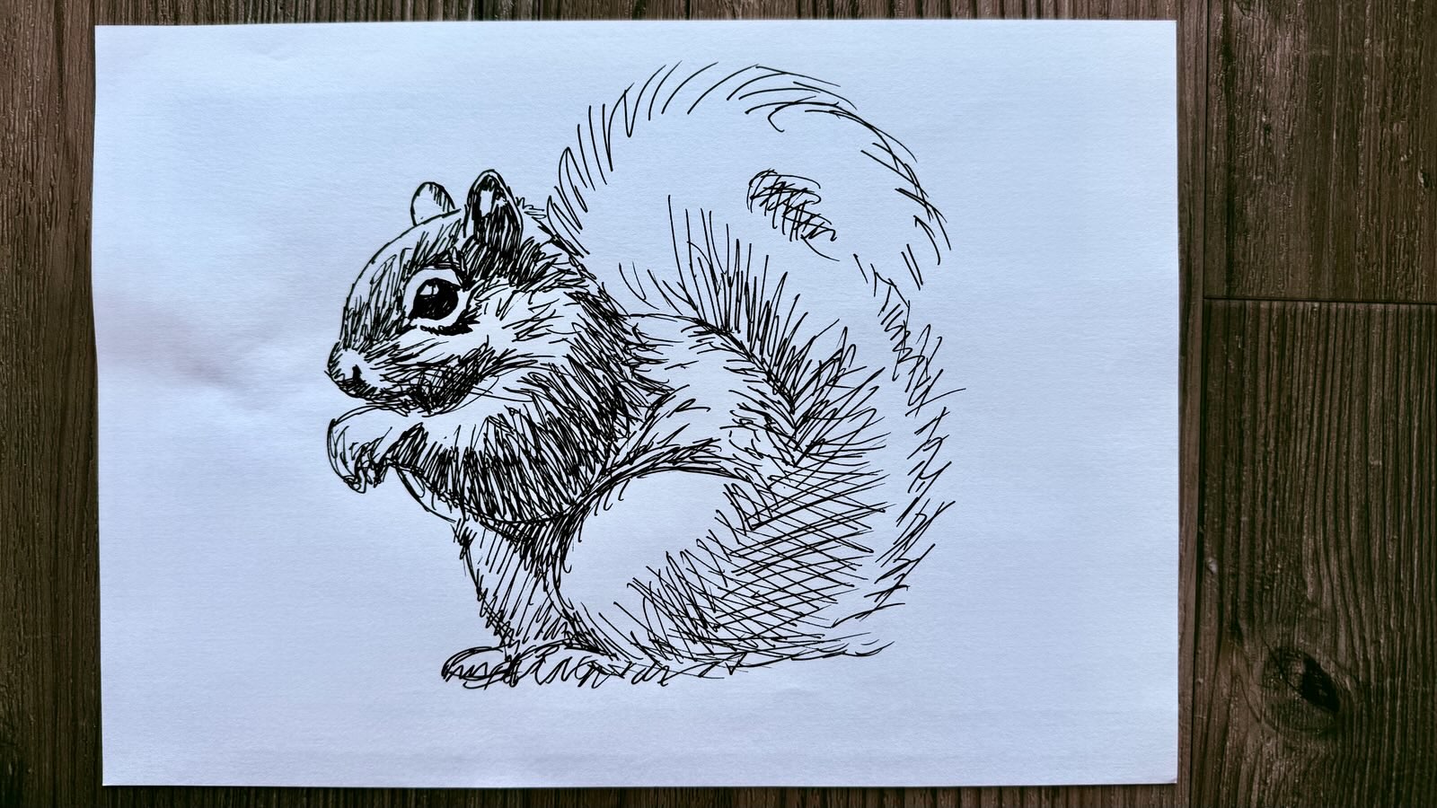 drawing