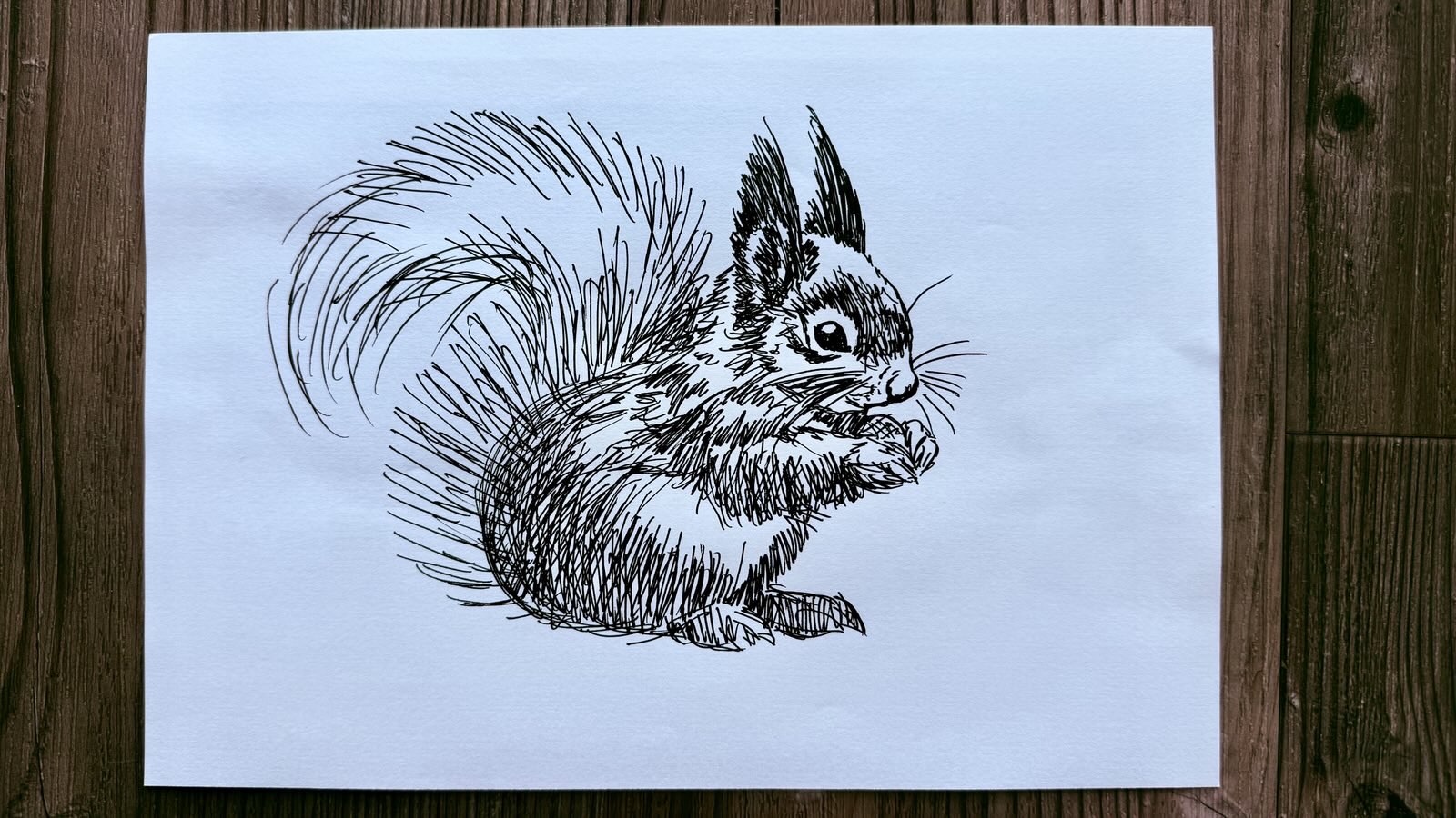 drawing