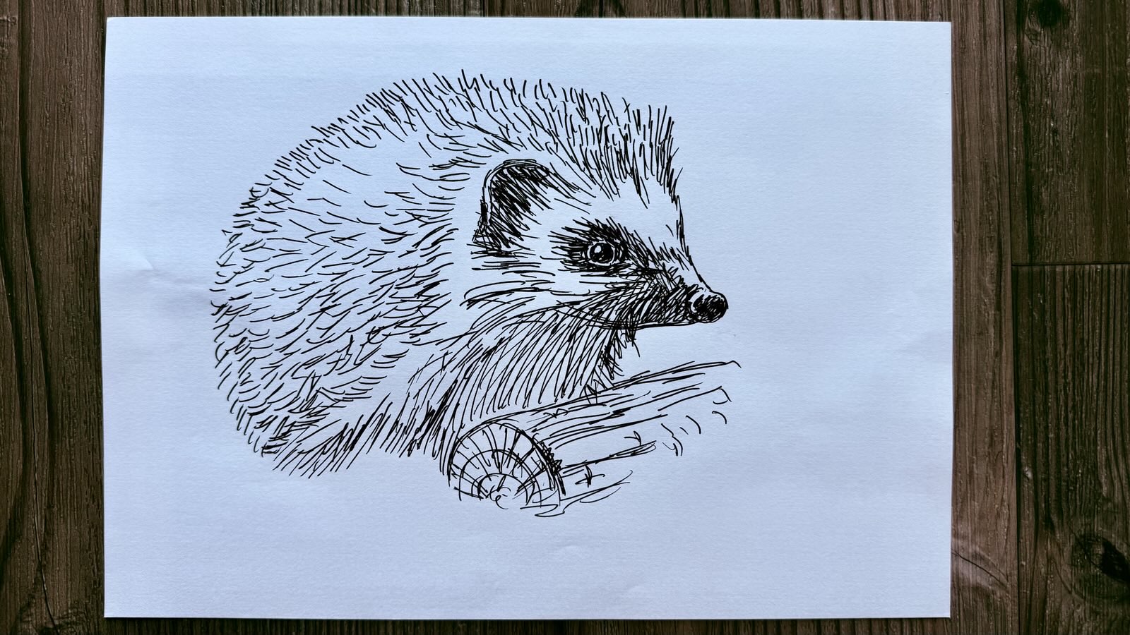 drawing