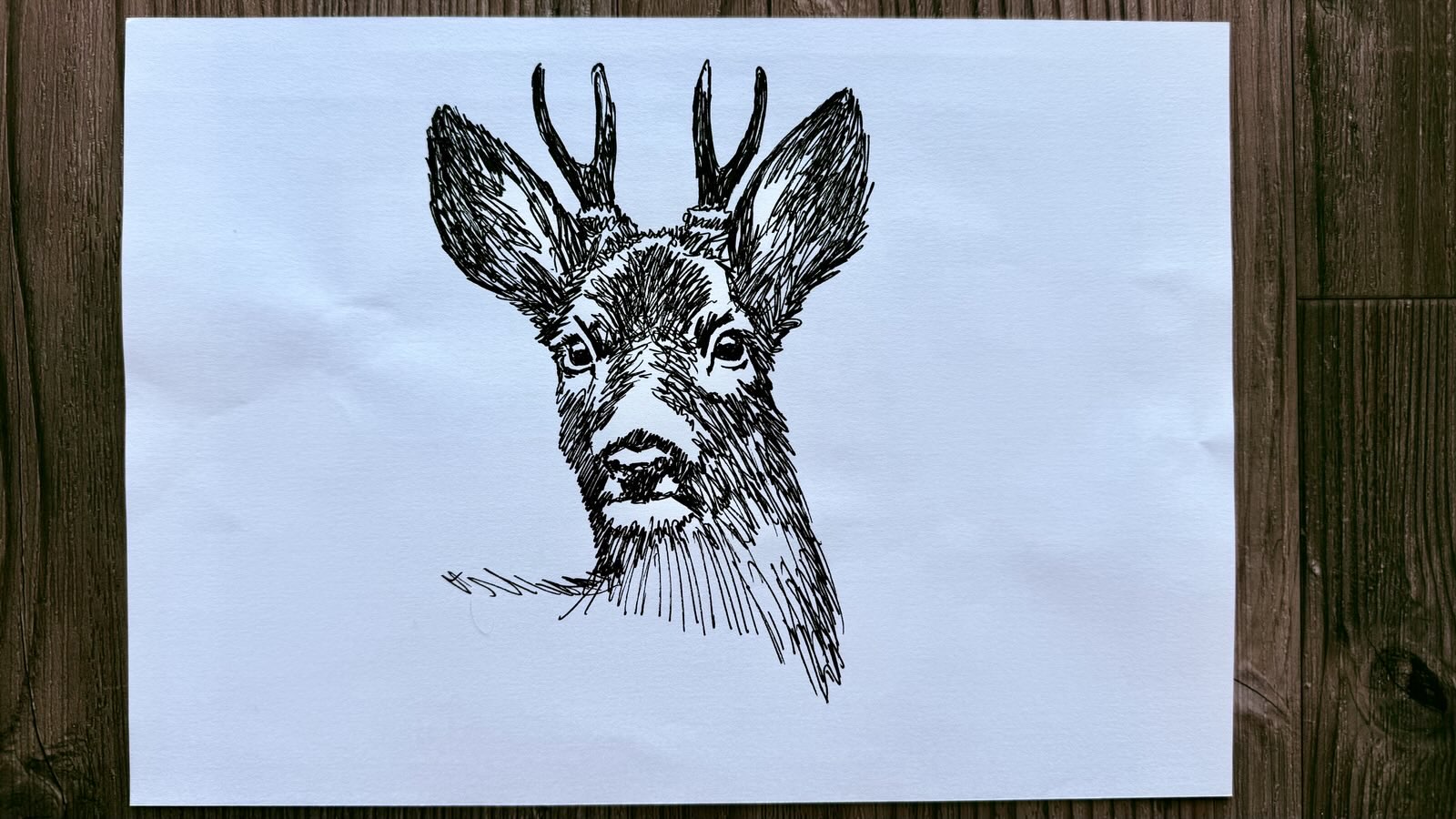 drawing