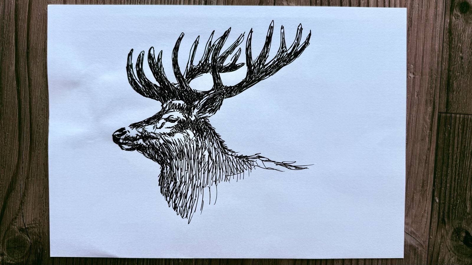 drawing