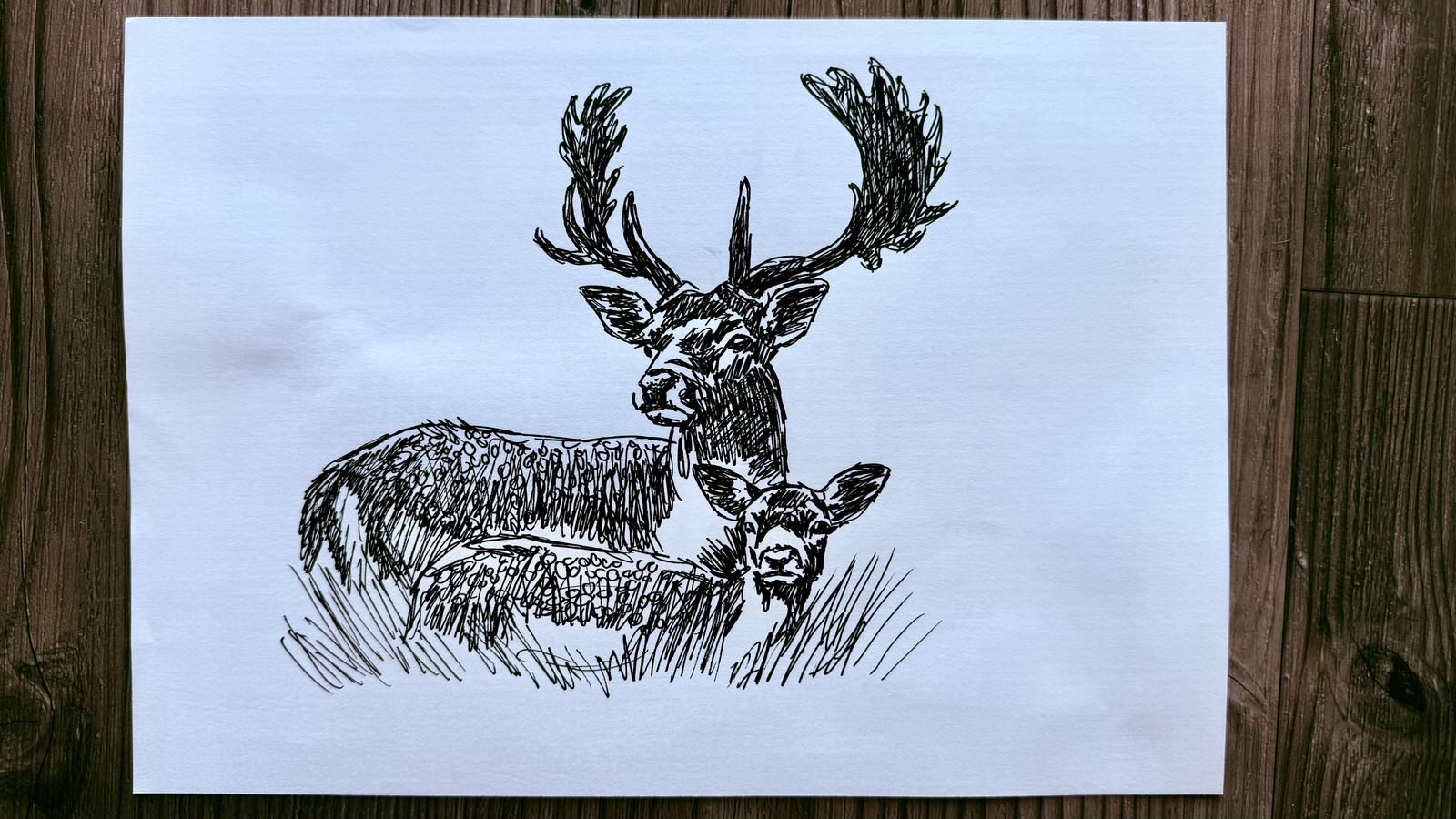 drawing