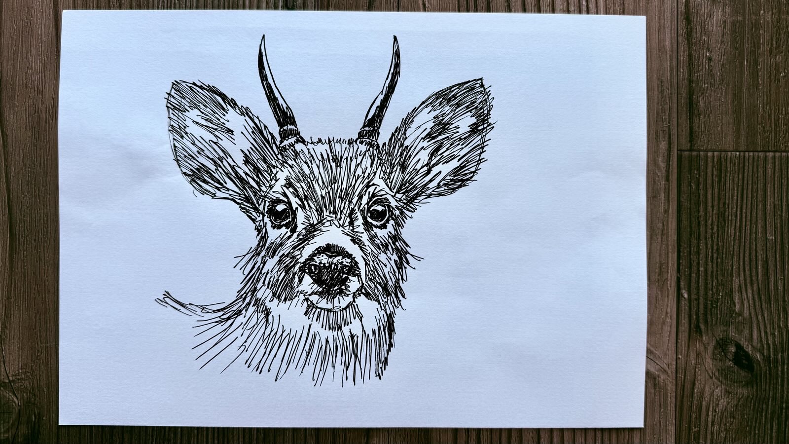 drawing