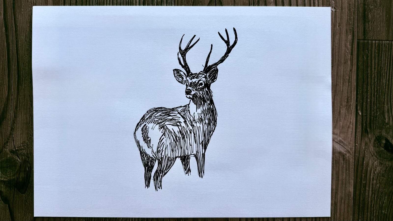 drawing