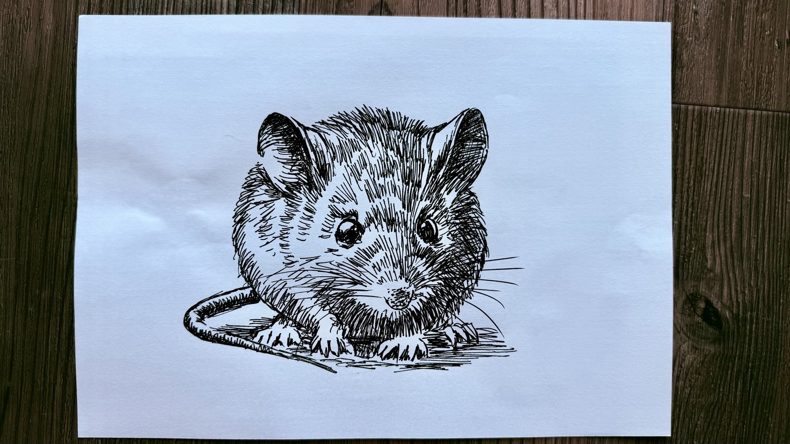 drawing