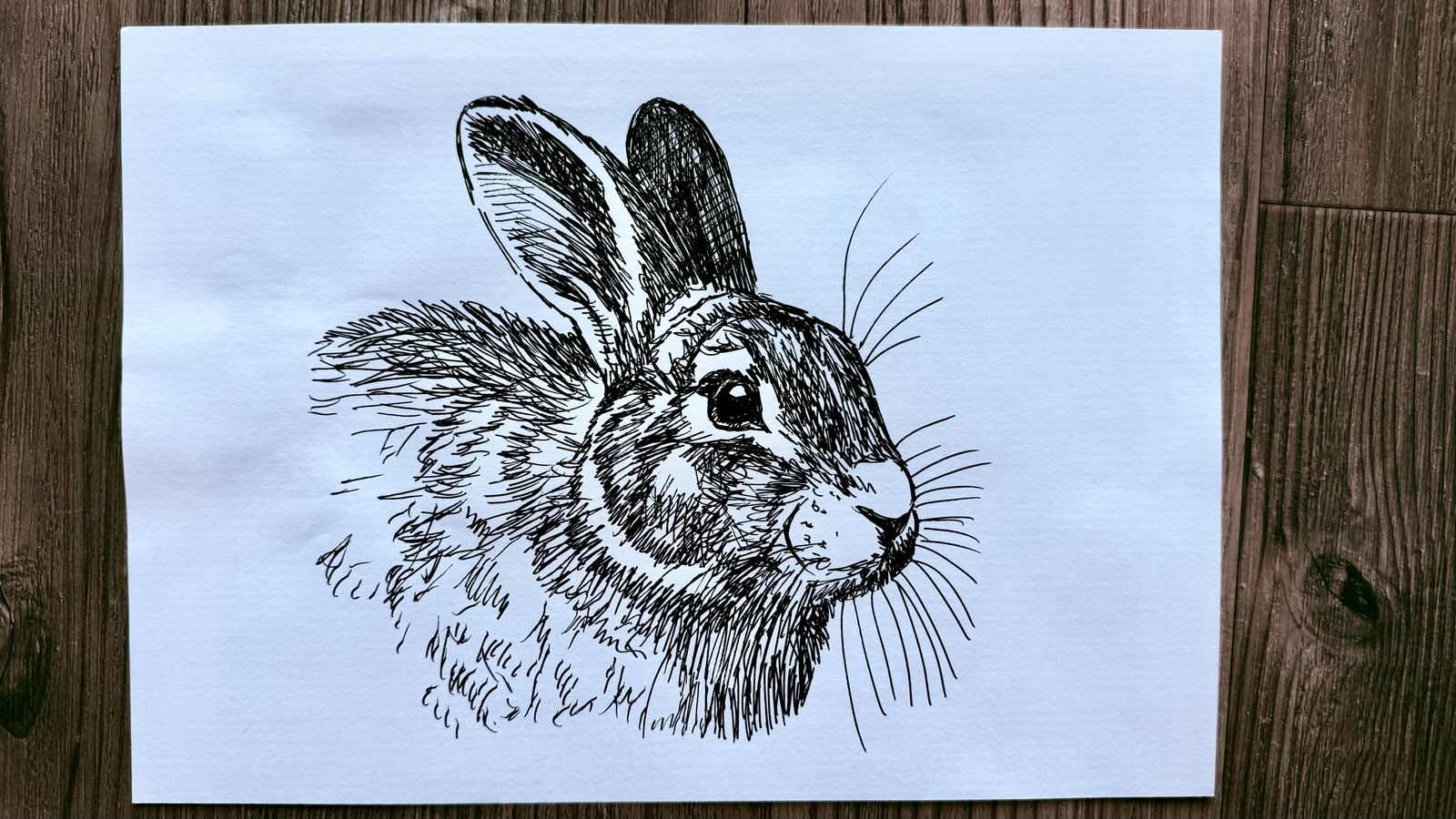 drawing