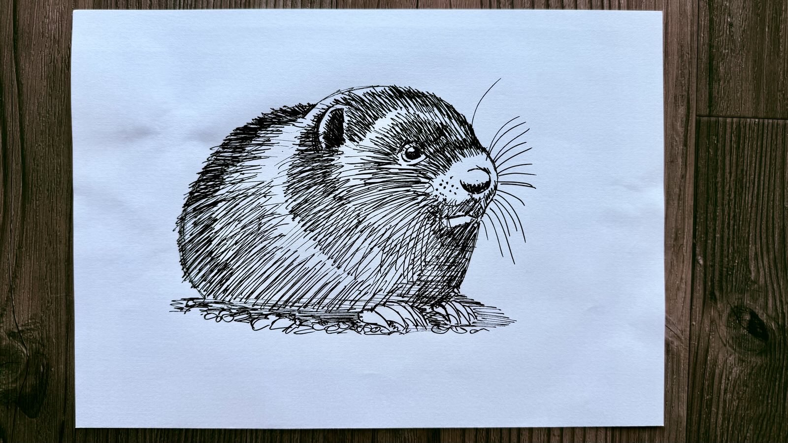 drawing