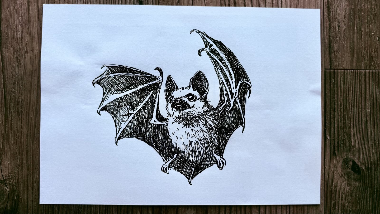 drawing