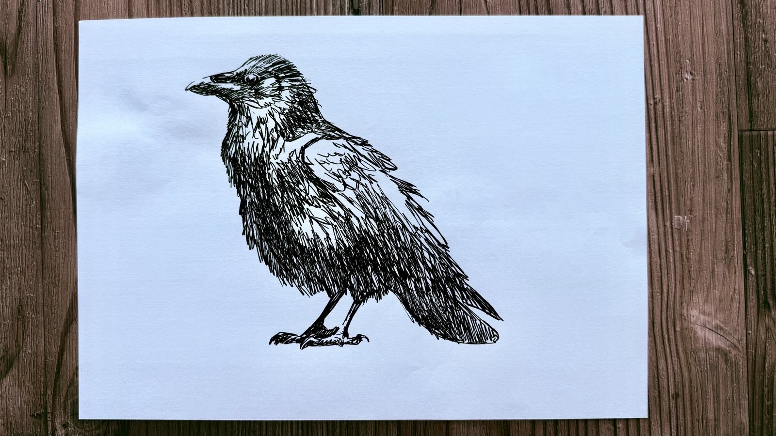 drawing