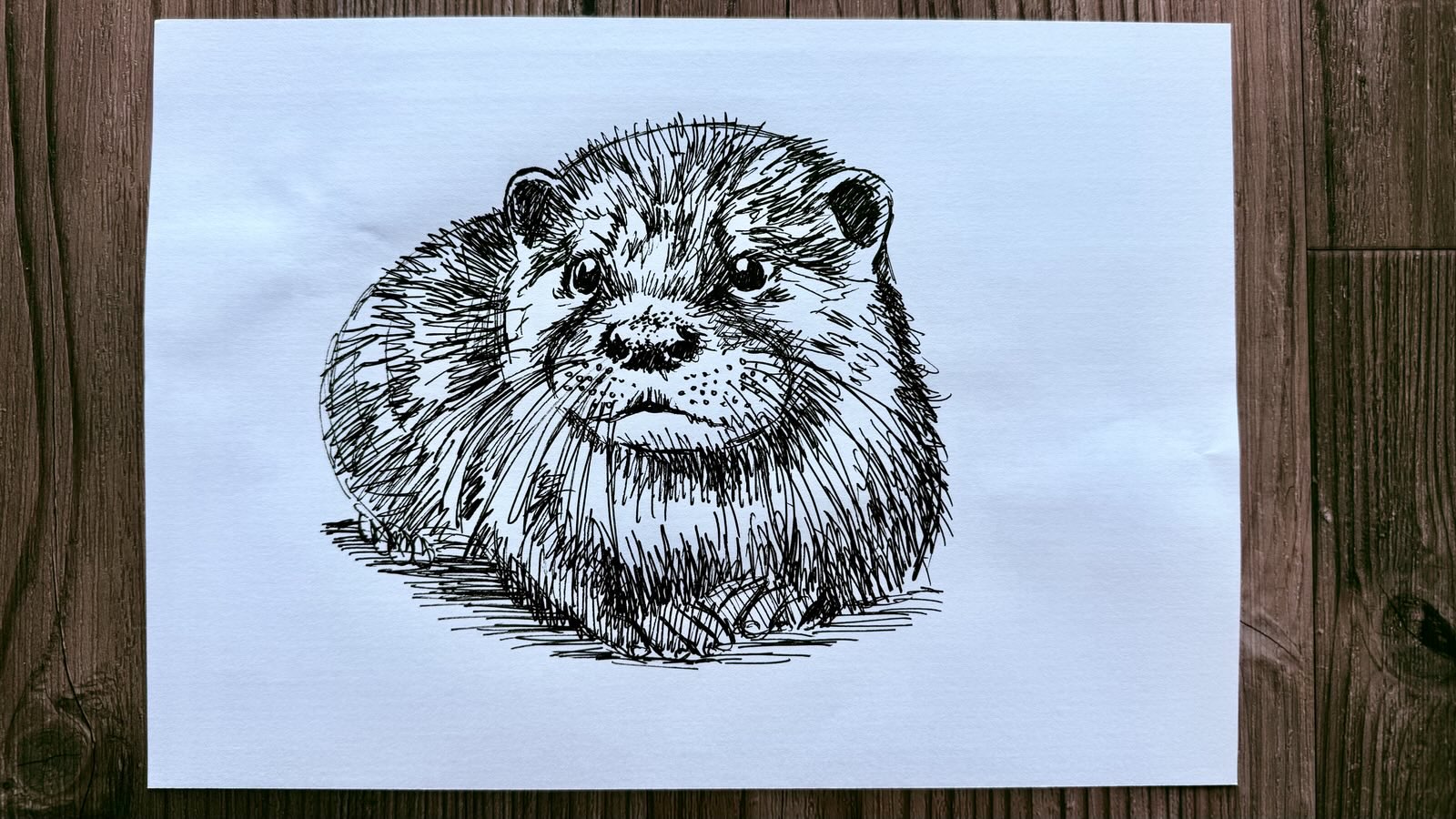 drawing
