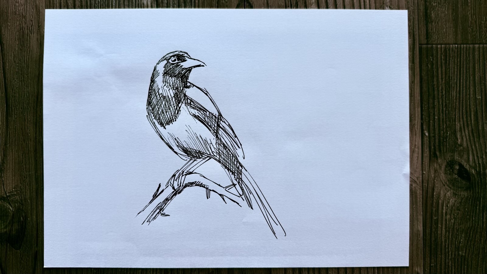 drawing