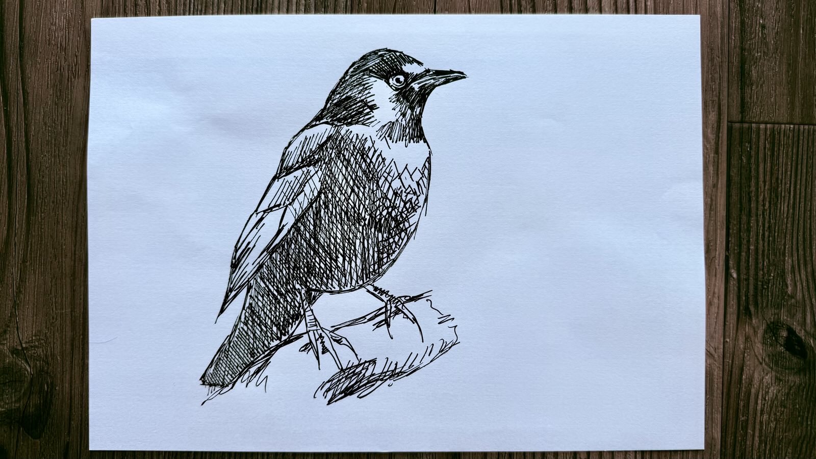 drawing