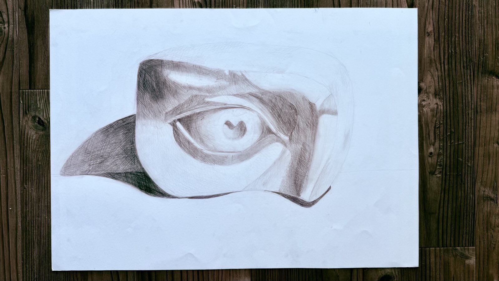 drawing
