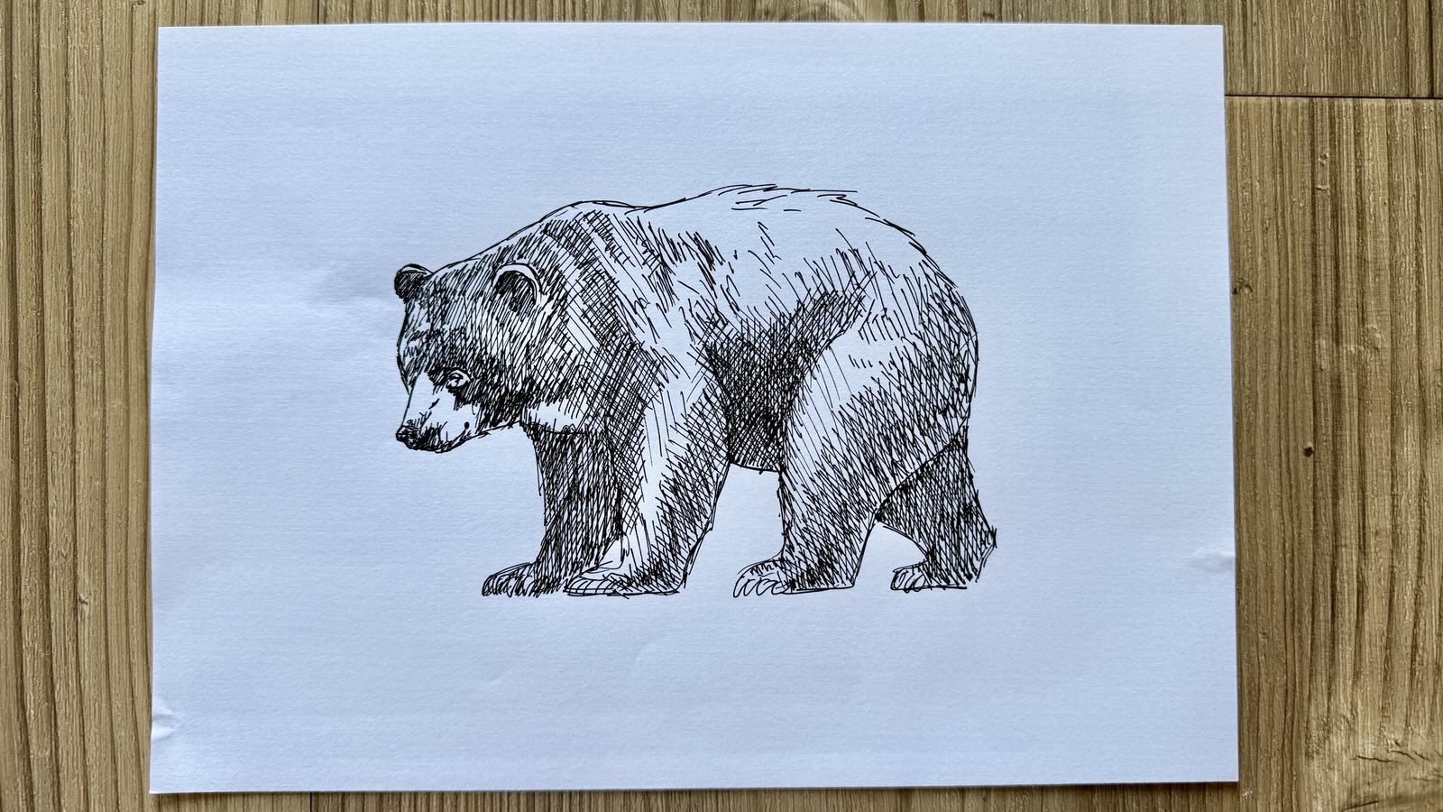drawing