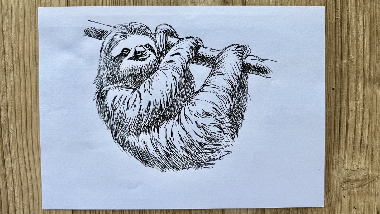 drawing