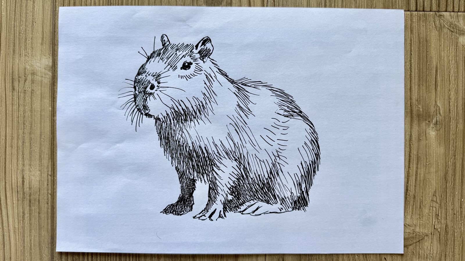 drawing