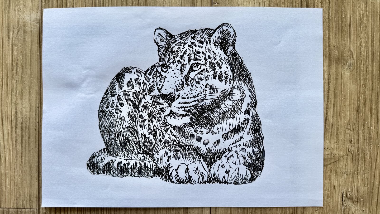 drawing
