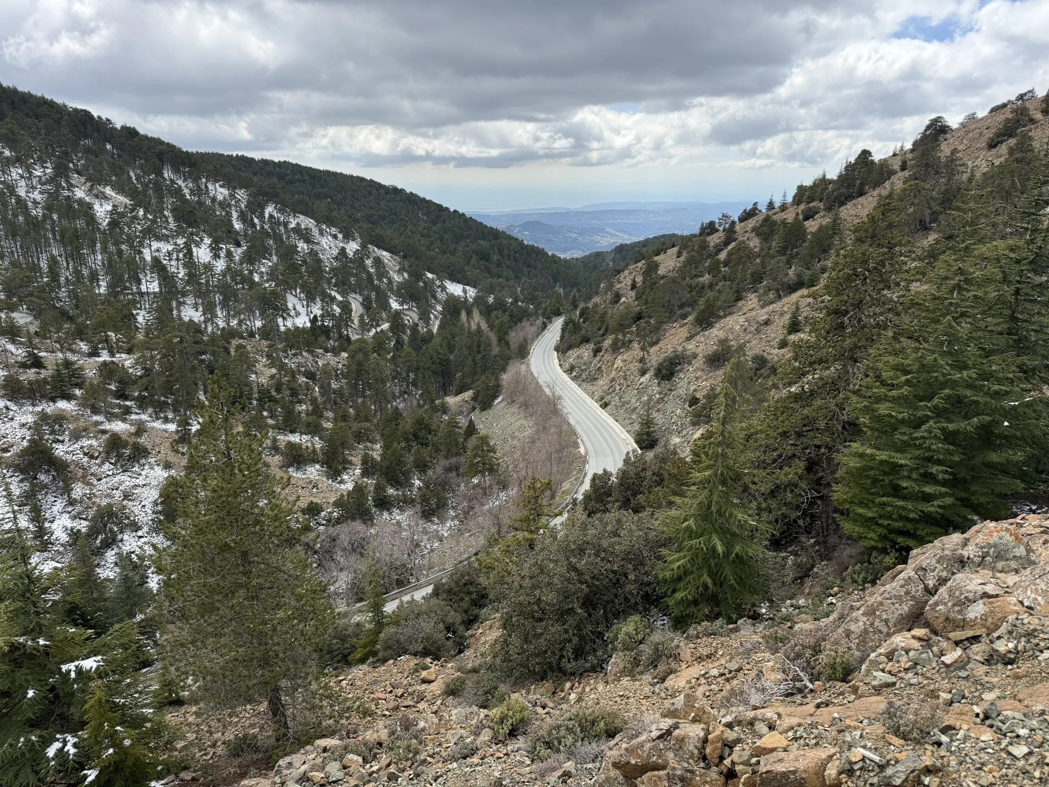 photo of nature
