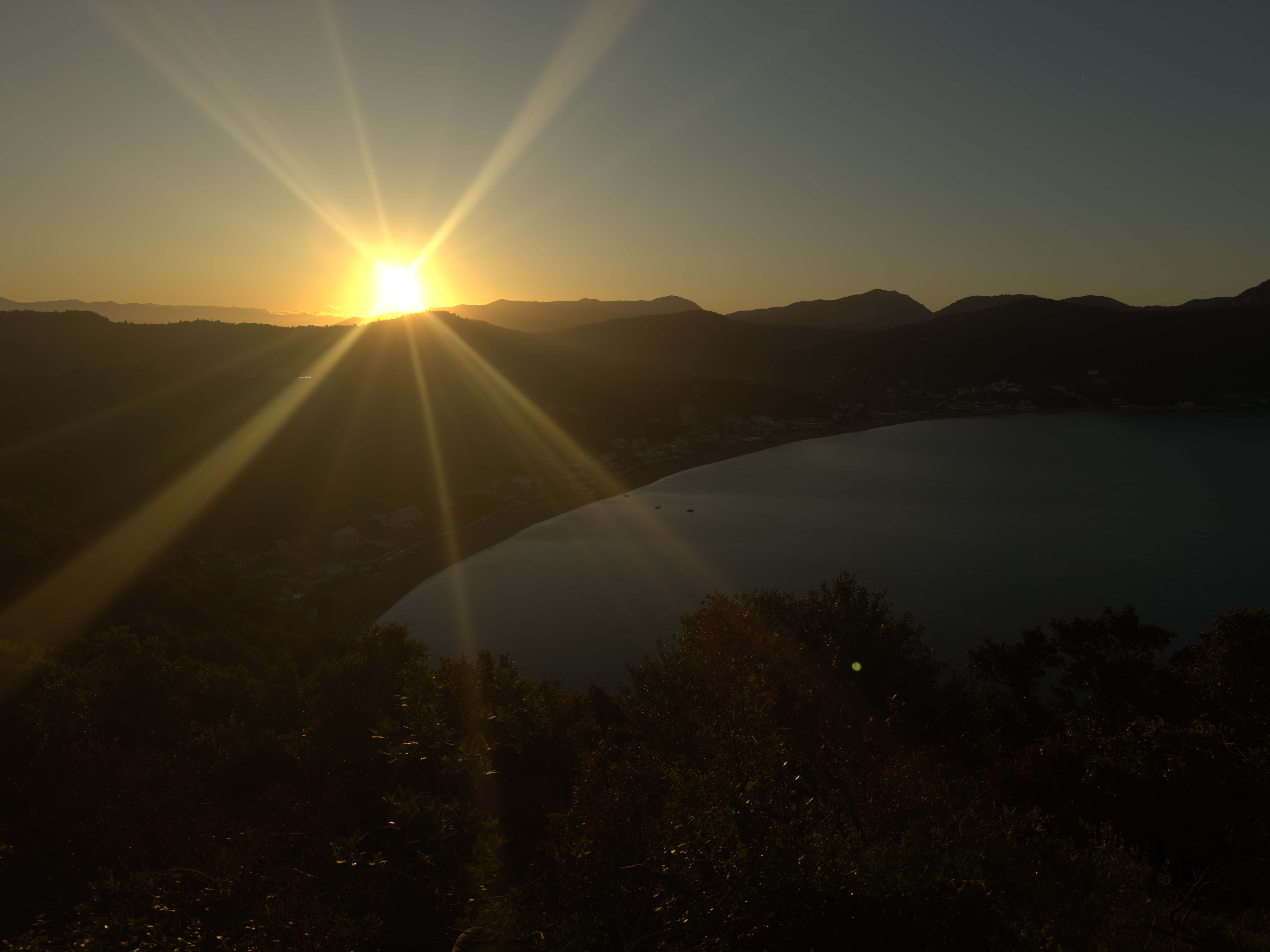 photo of nature