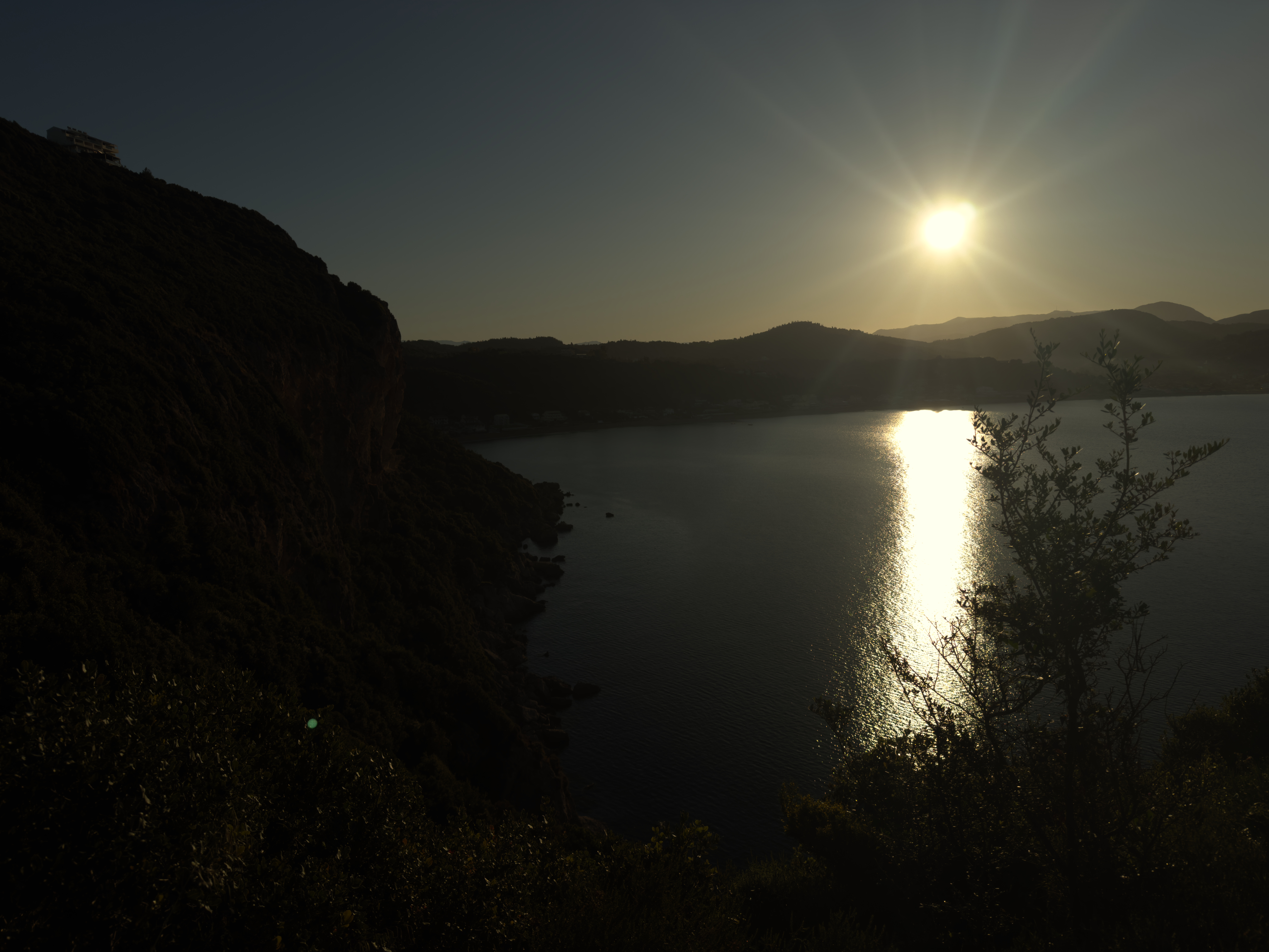 photo of nature