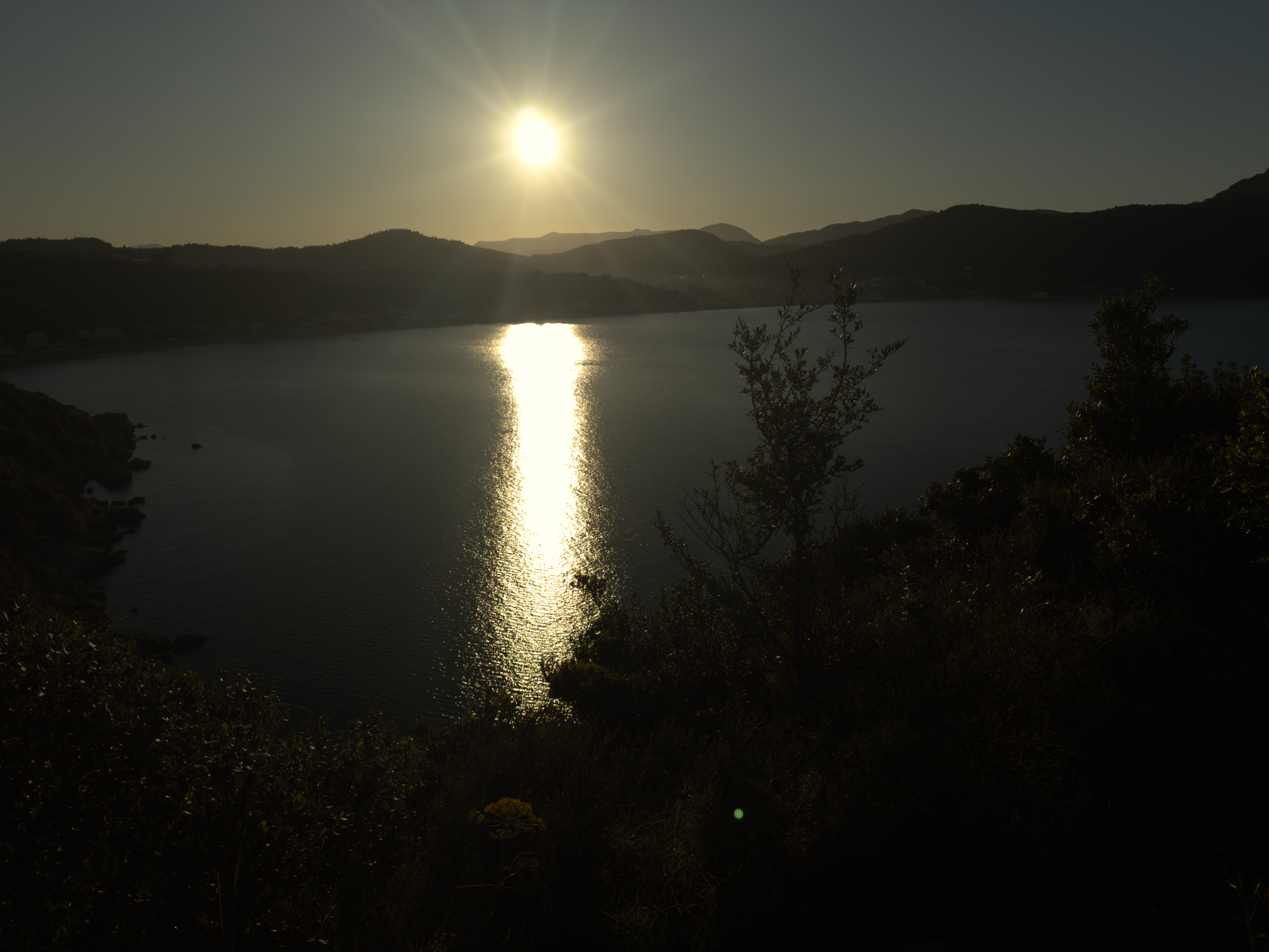 photo of nature