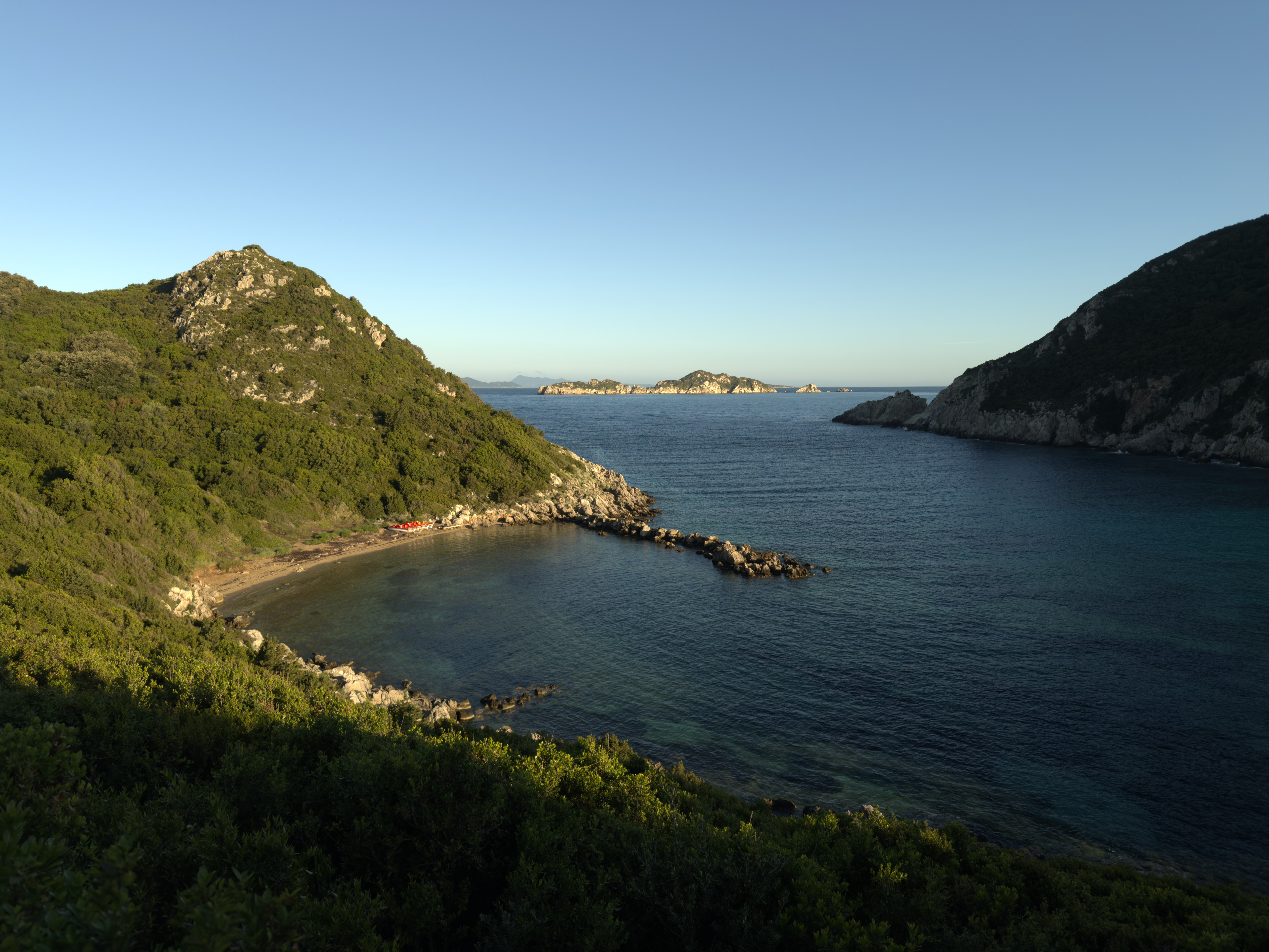photo of nature