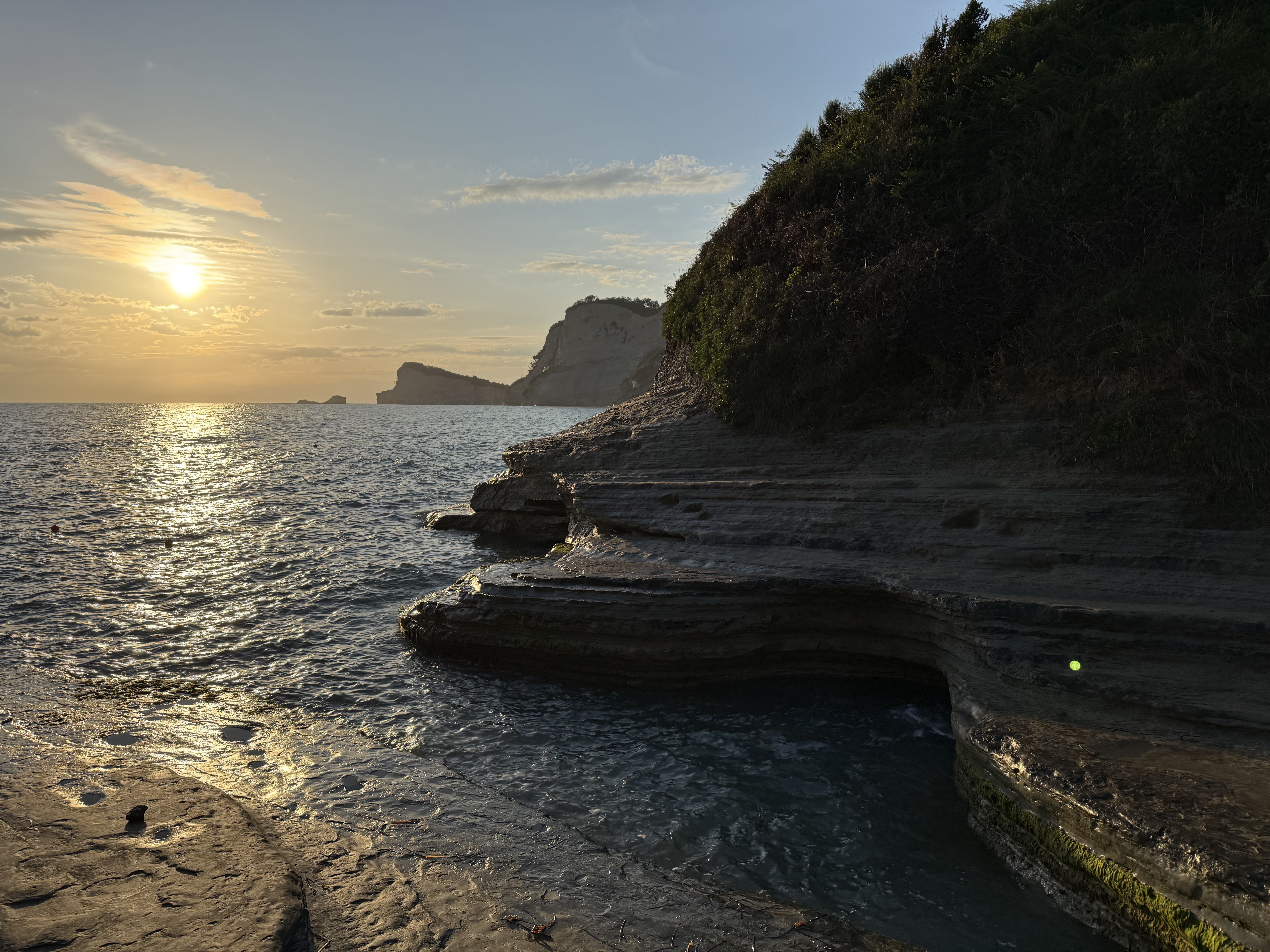 photo of nature