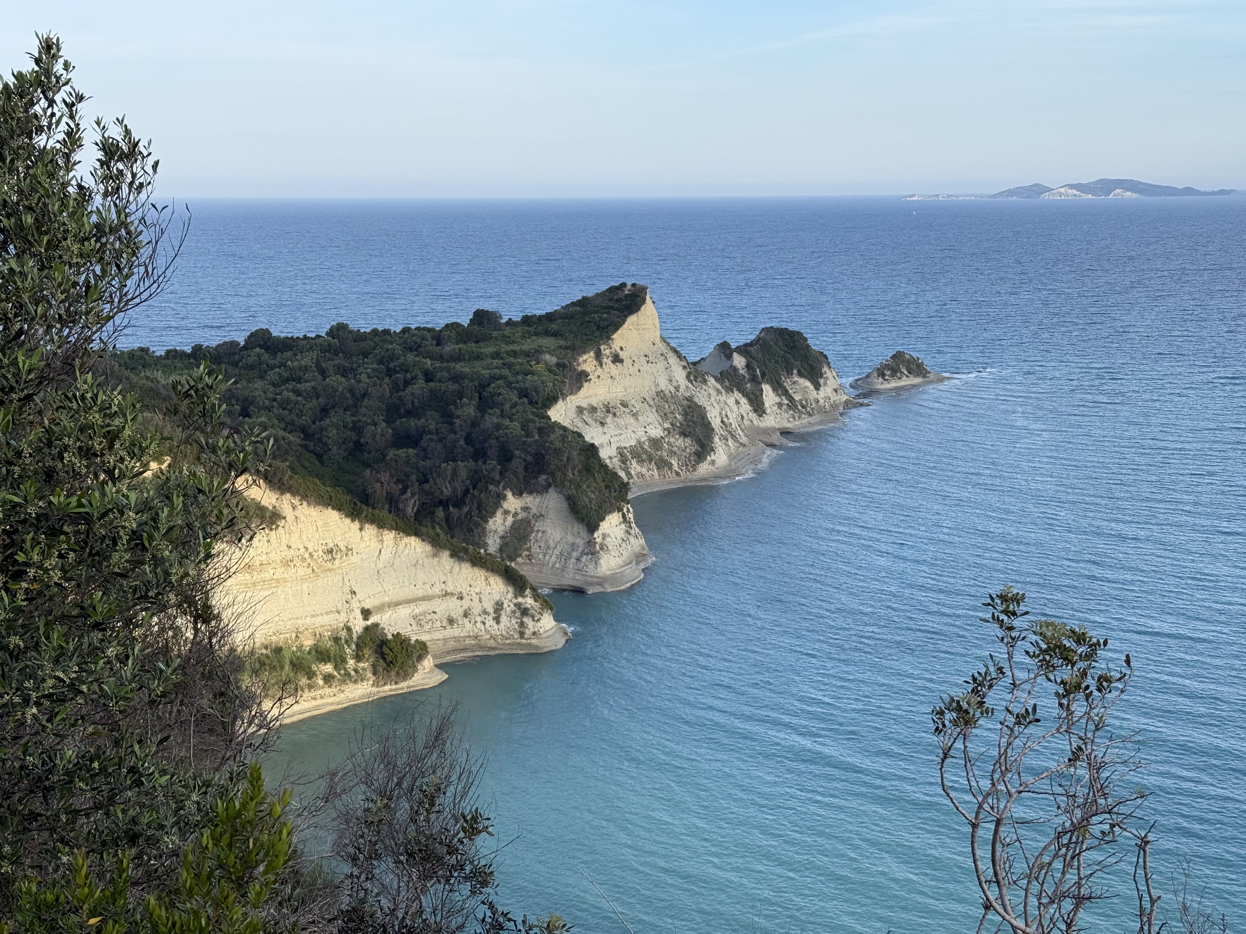 photo of nature