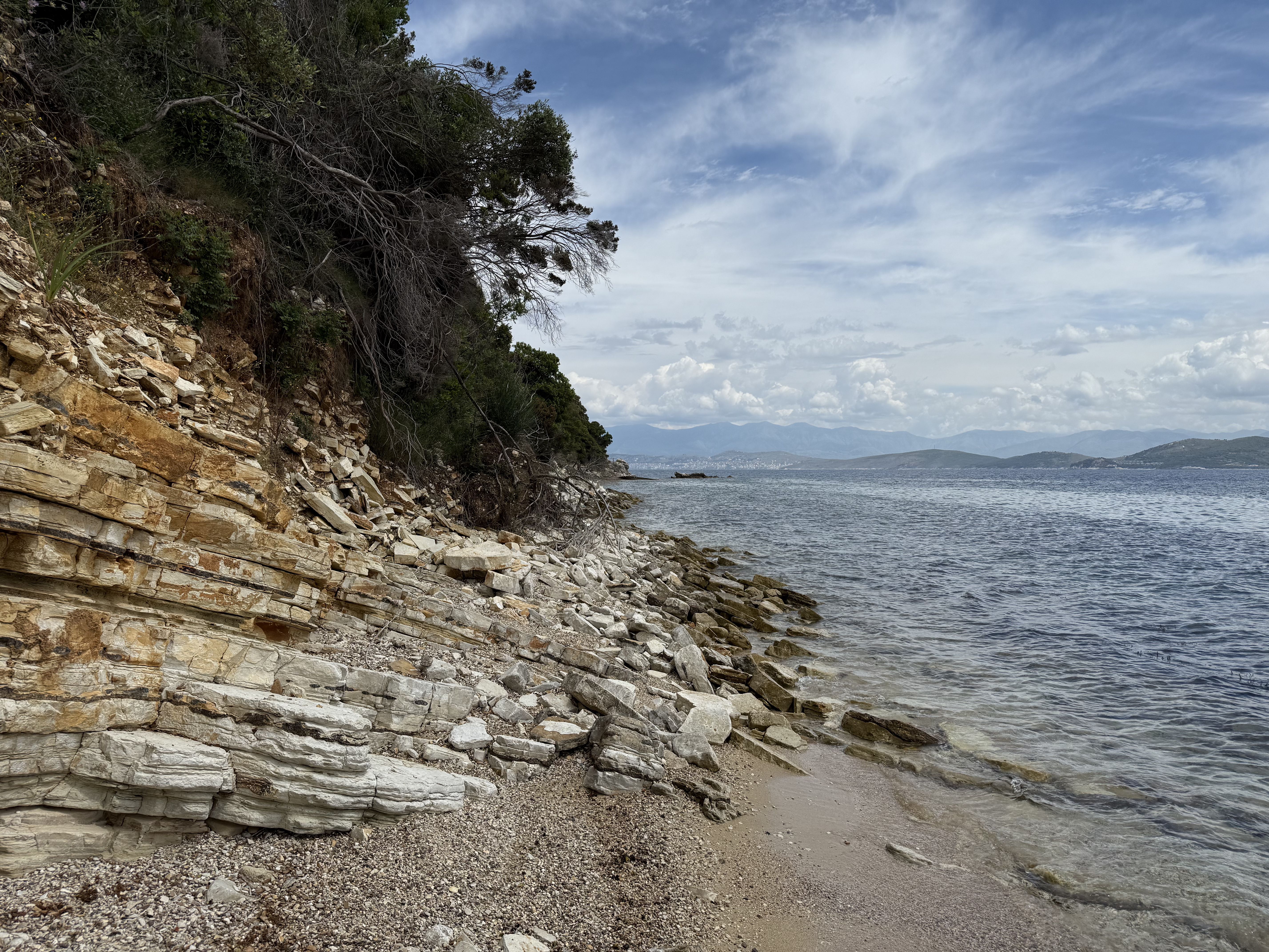 photo of nature