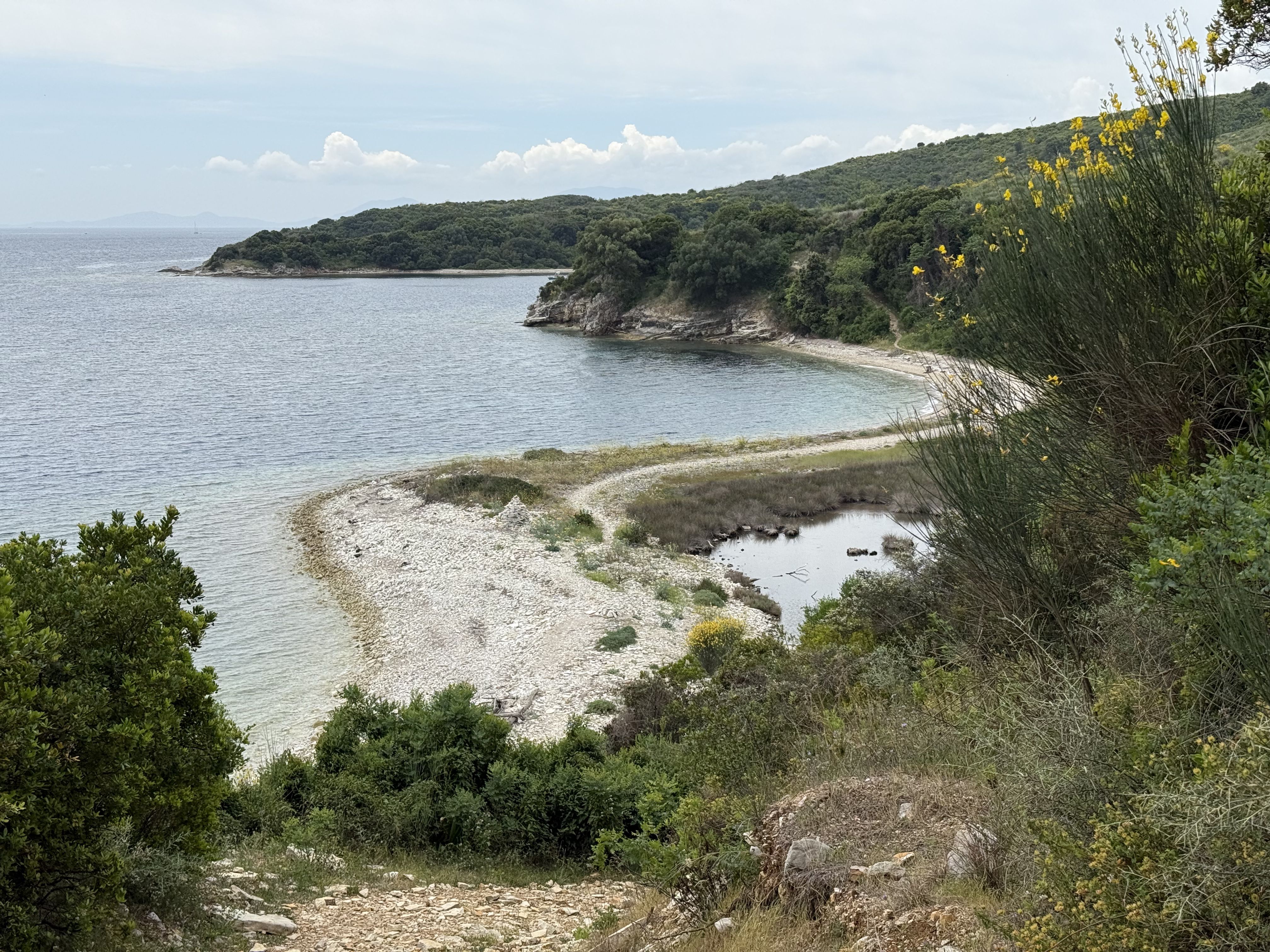 photo of nature