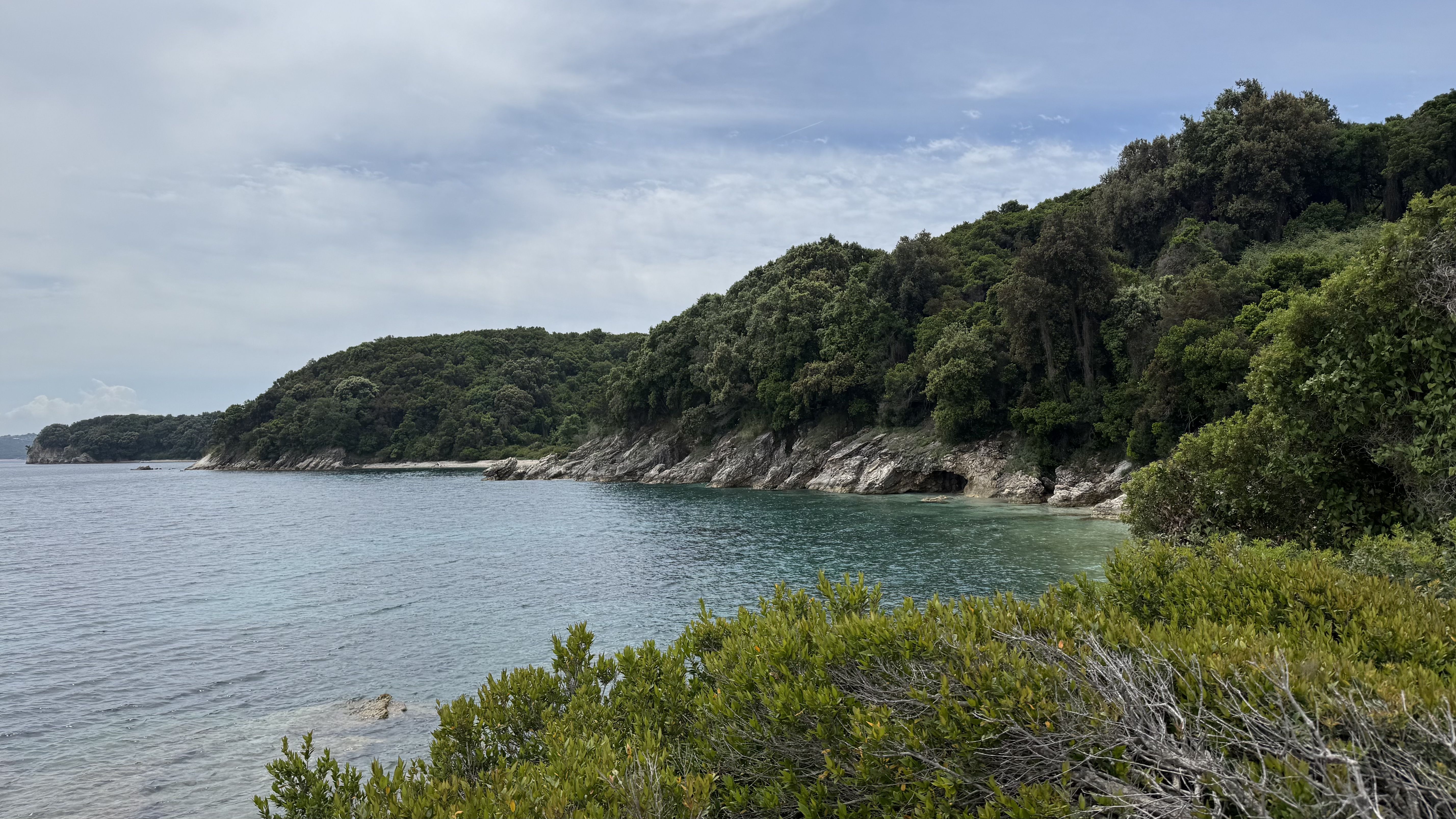 photo of nature