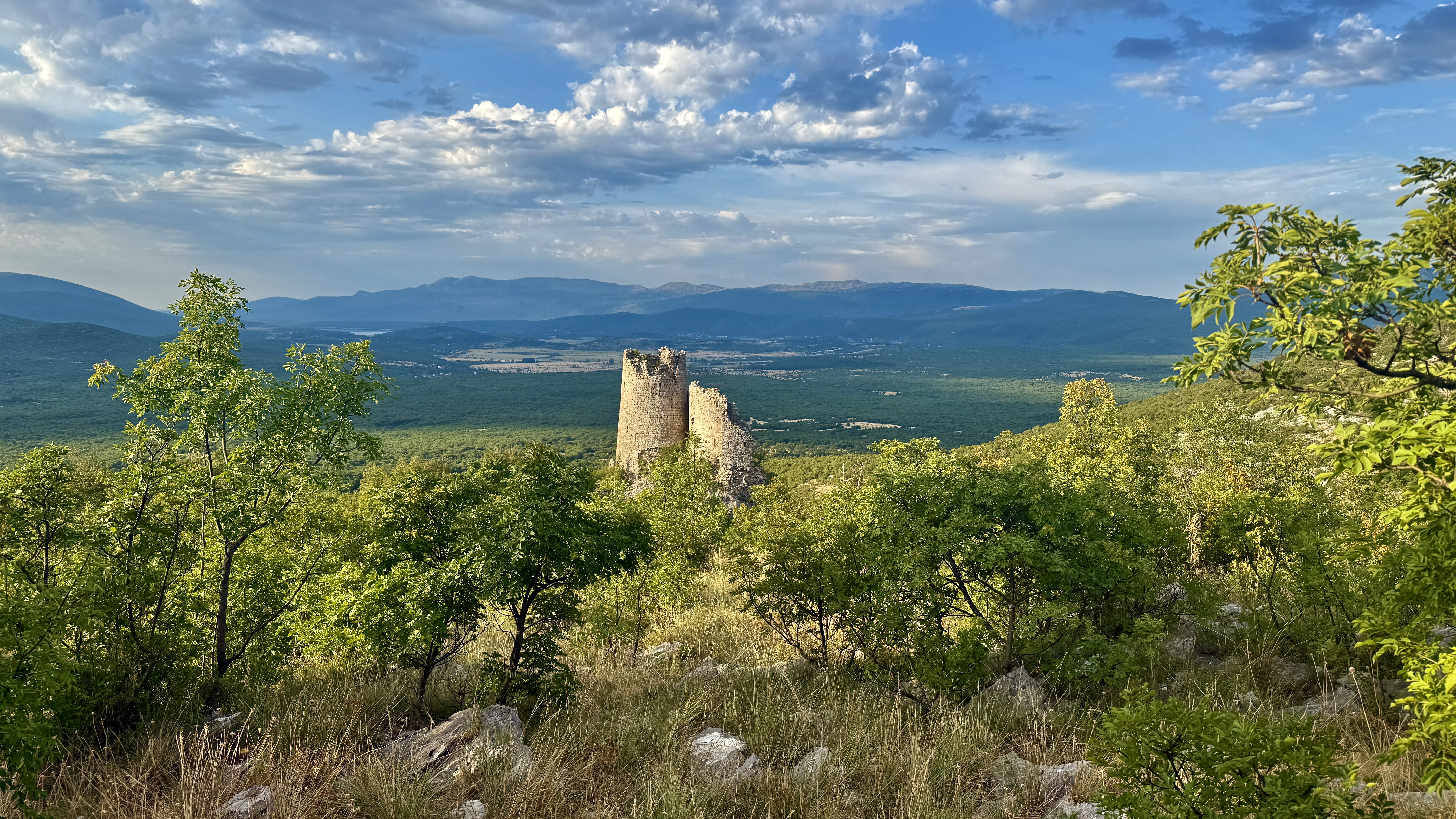 photo of nature