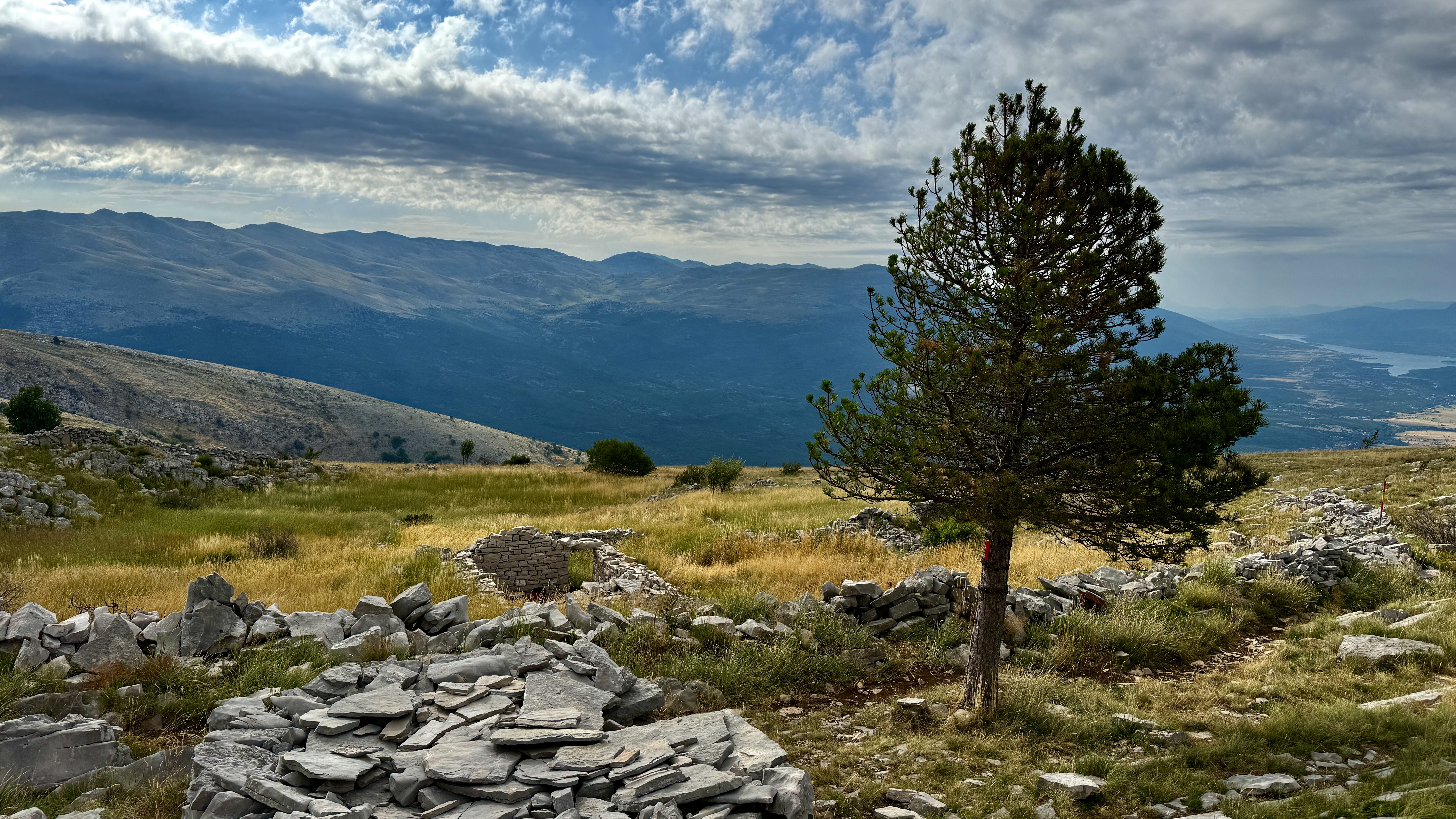 photo of nature