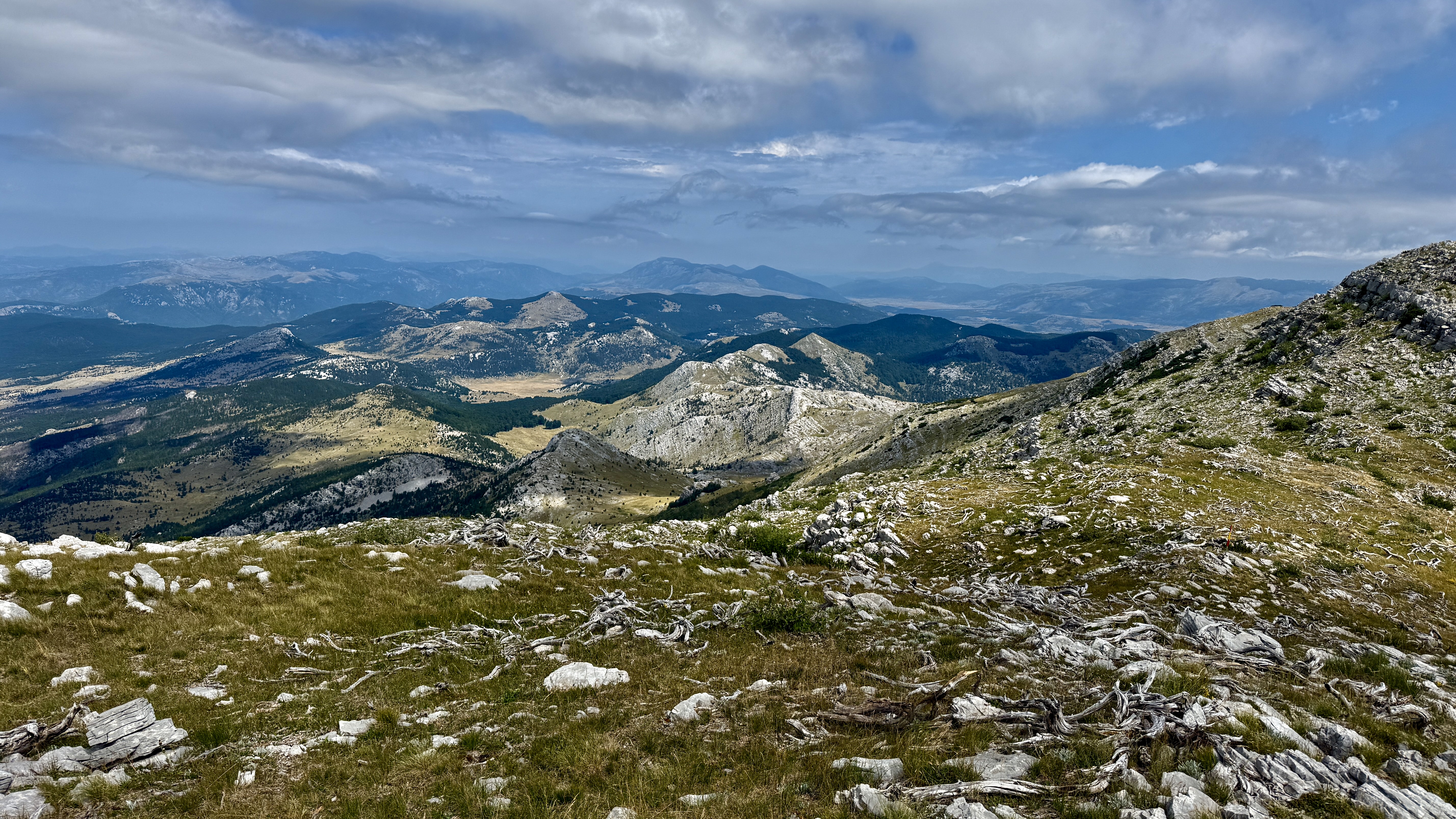 photo of nature