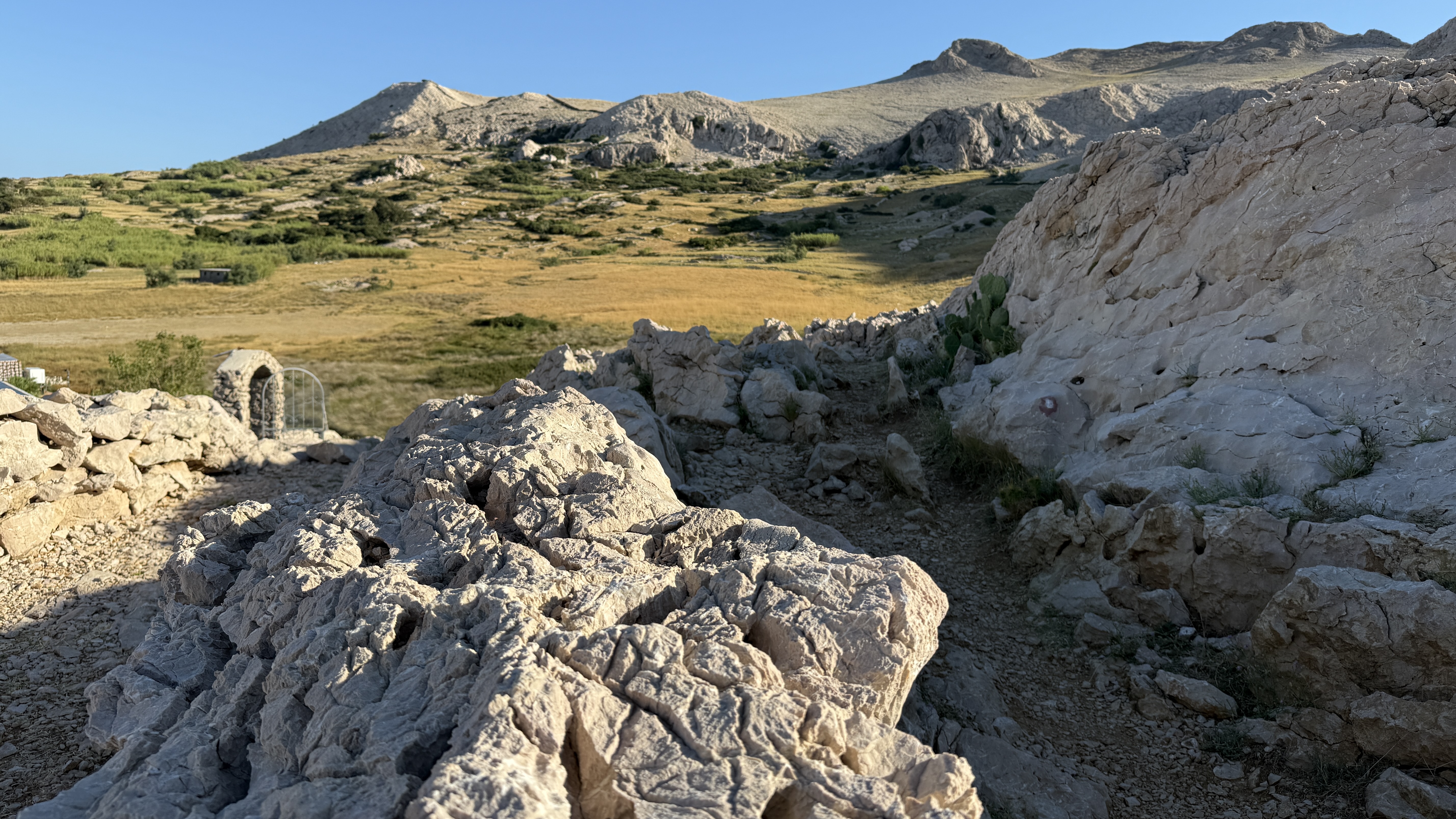 photo of nature