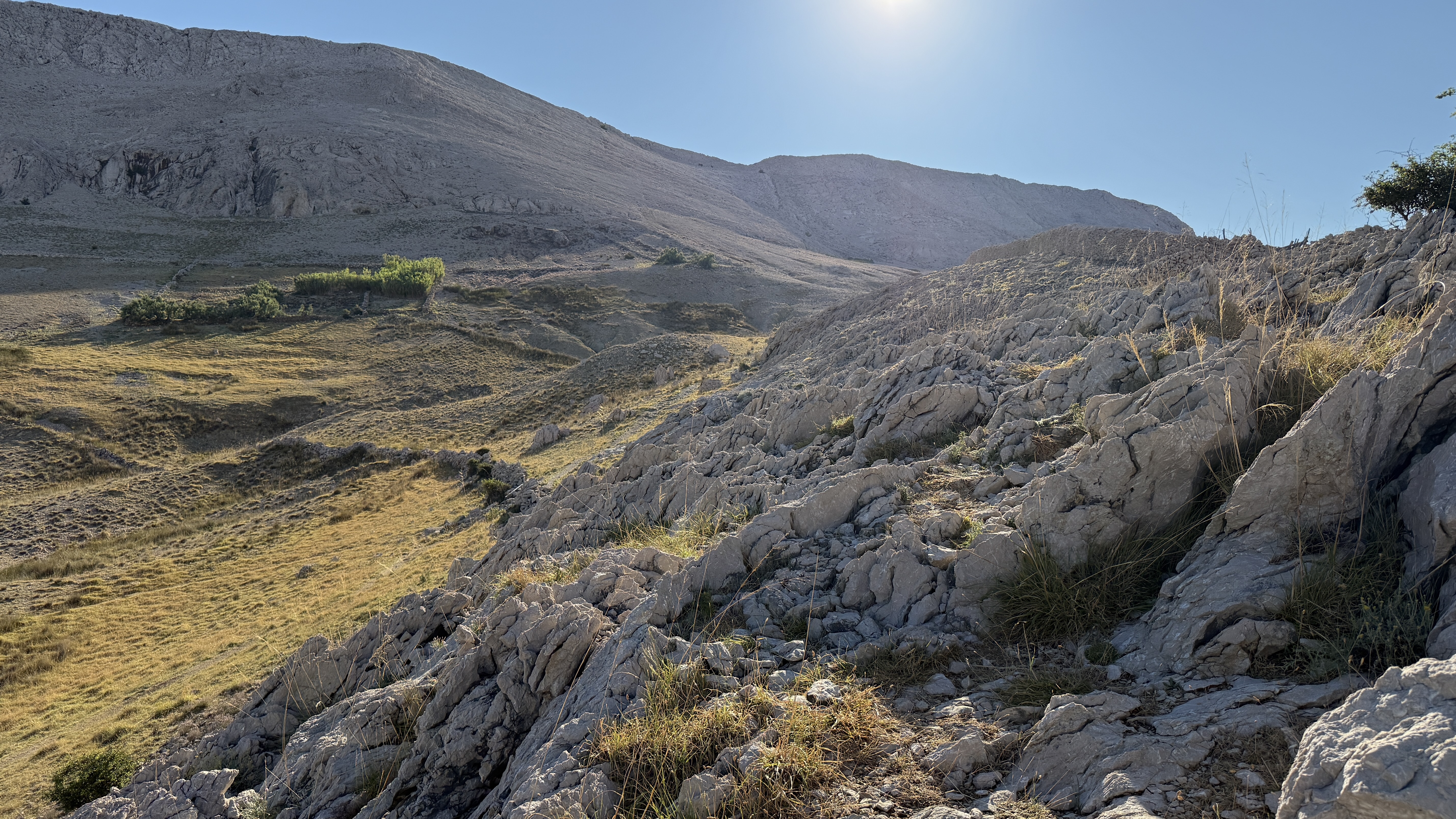 photo of nature