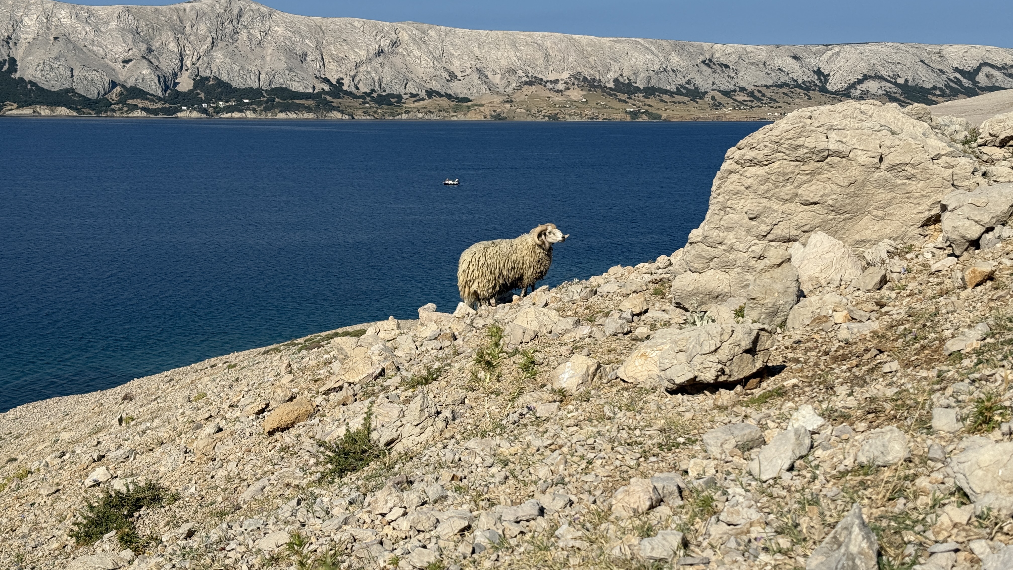 photo of nature