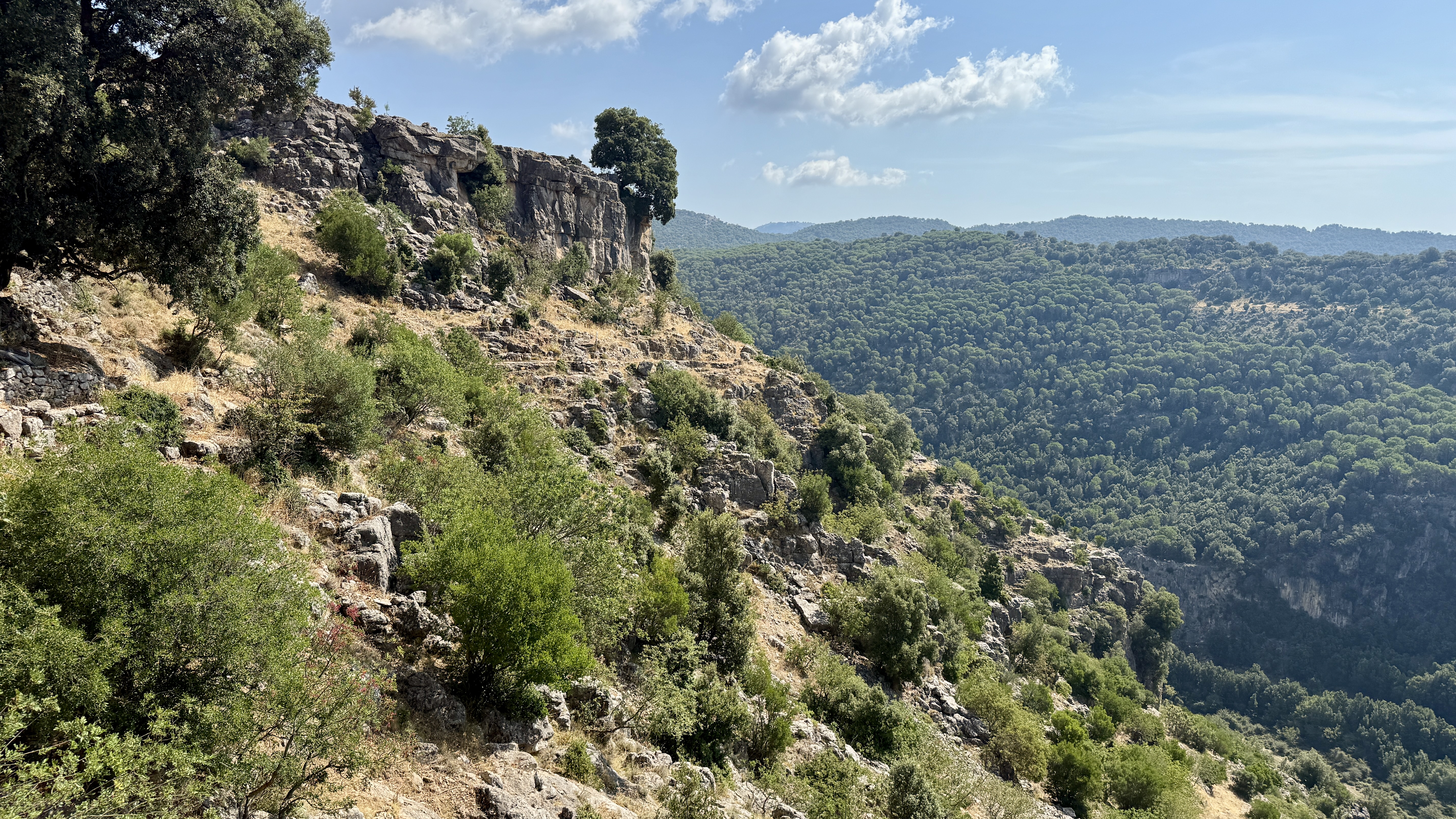 photo of nature
