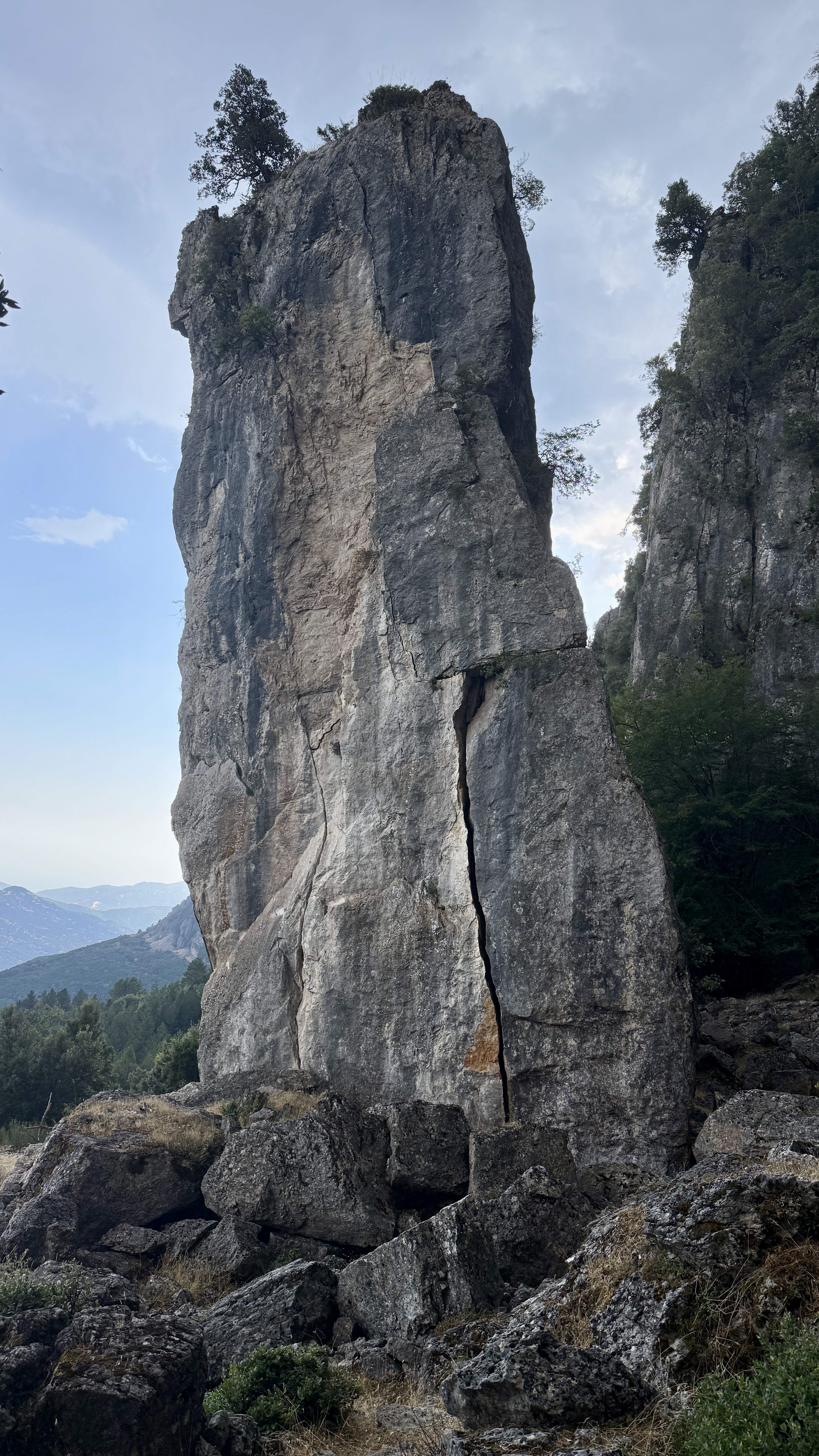 photo of nature