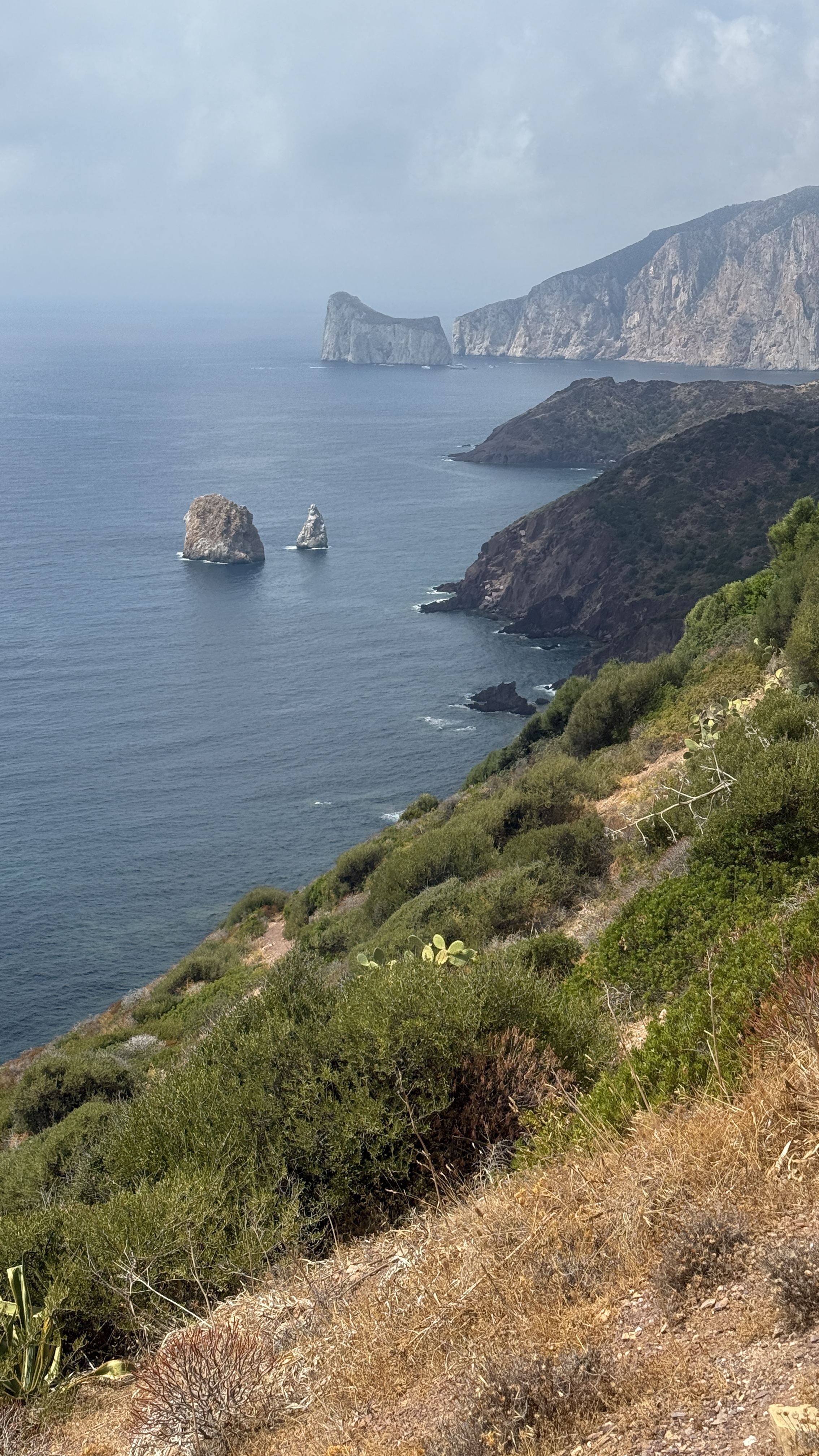 photo of nature