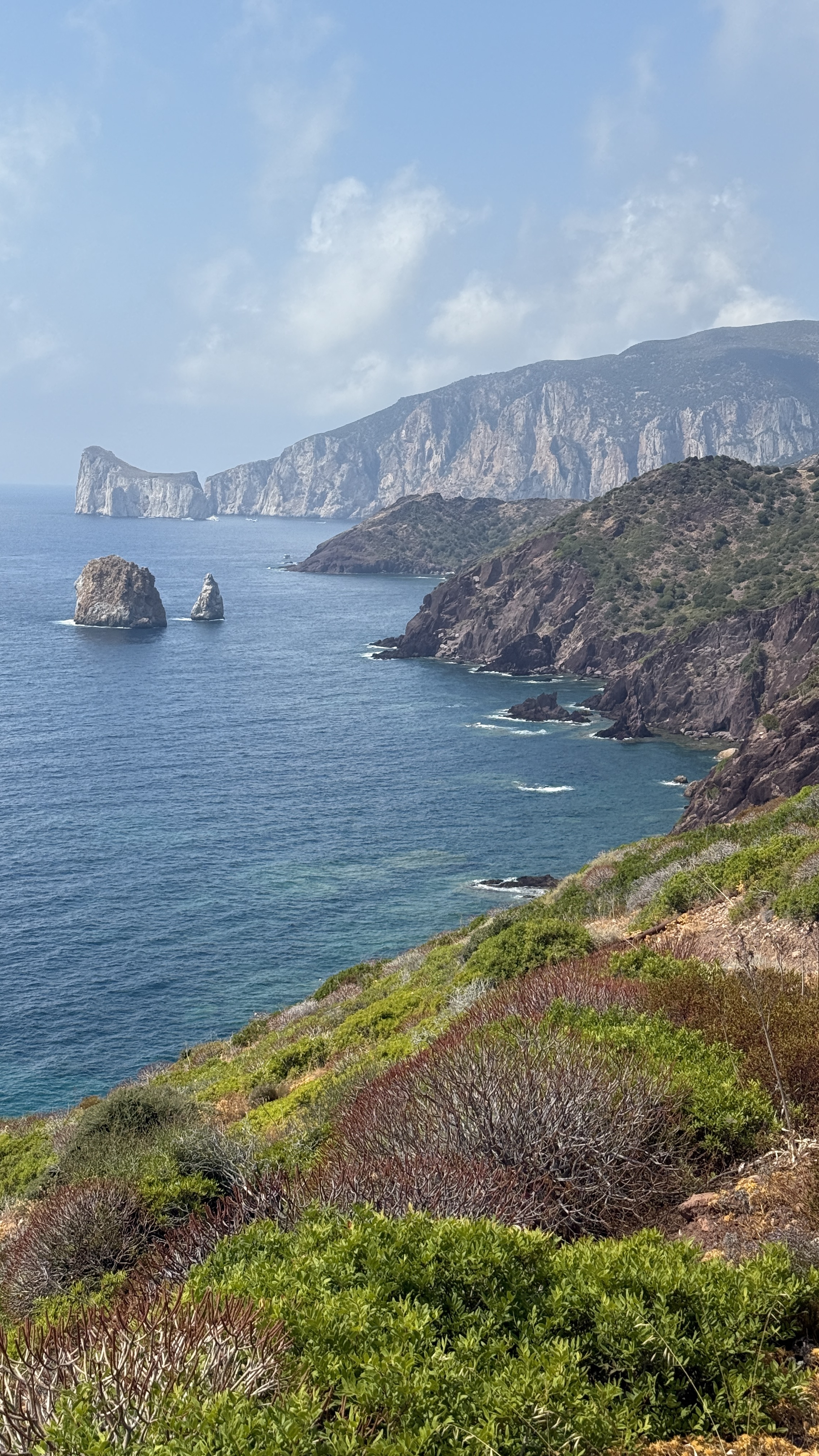photo of nature