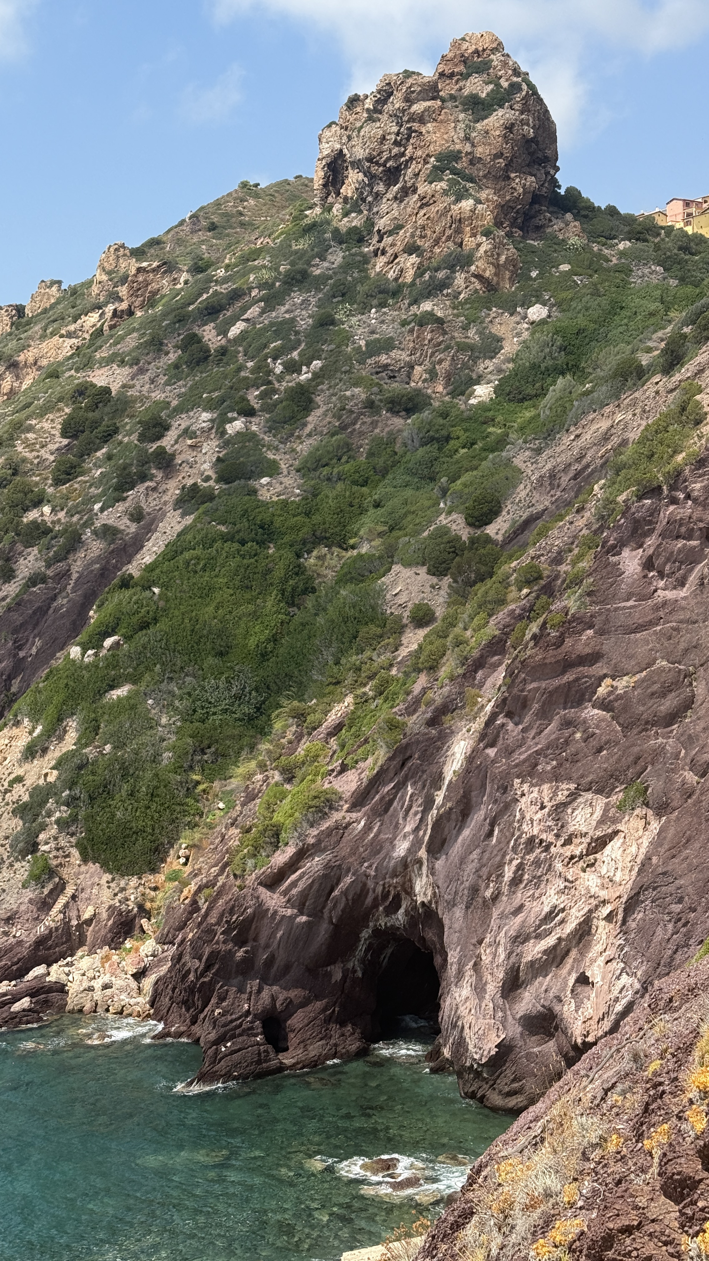 photo of nature