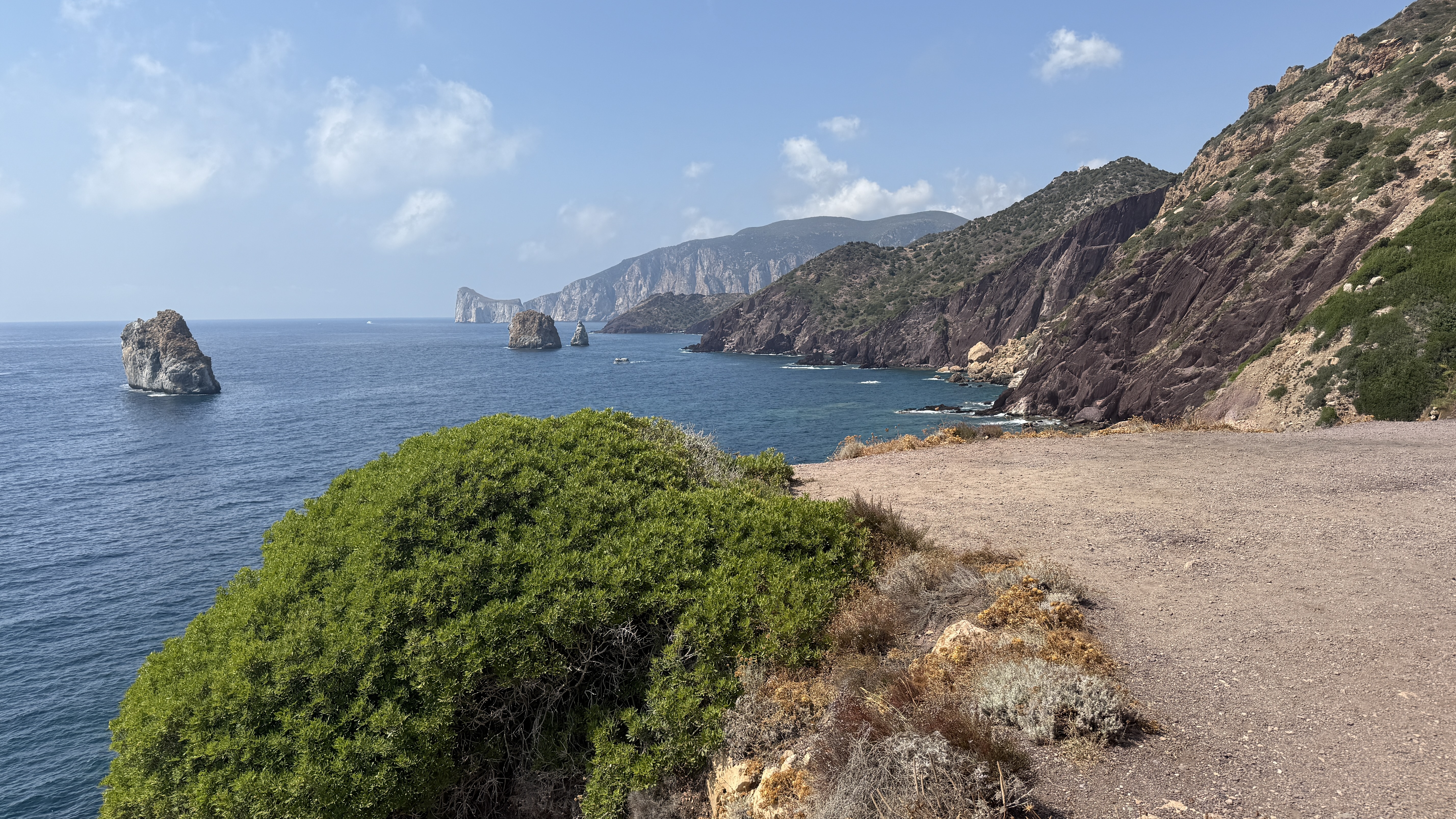 photo of nature