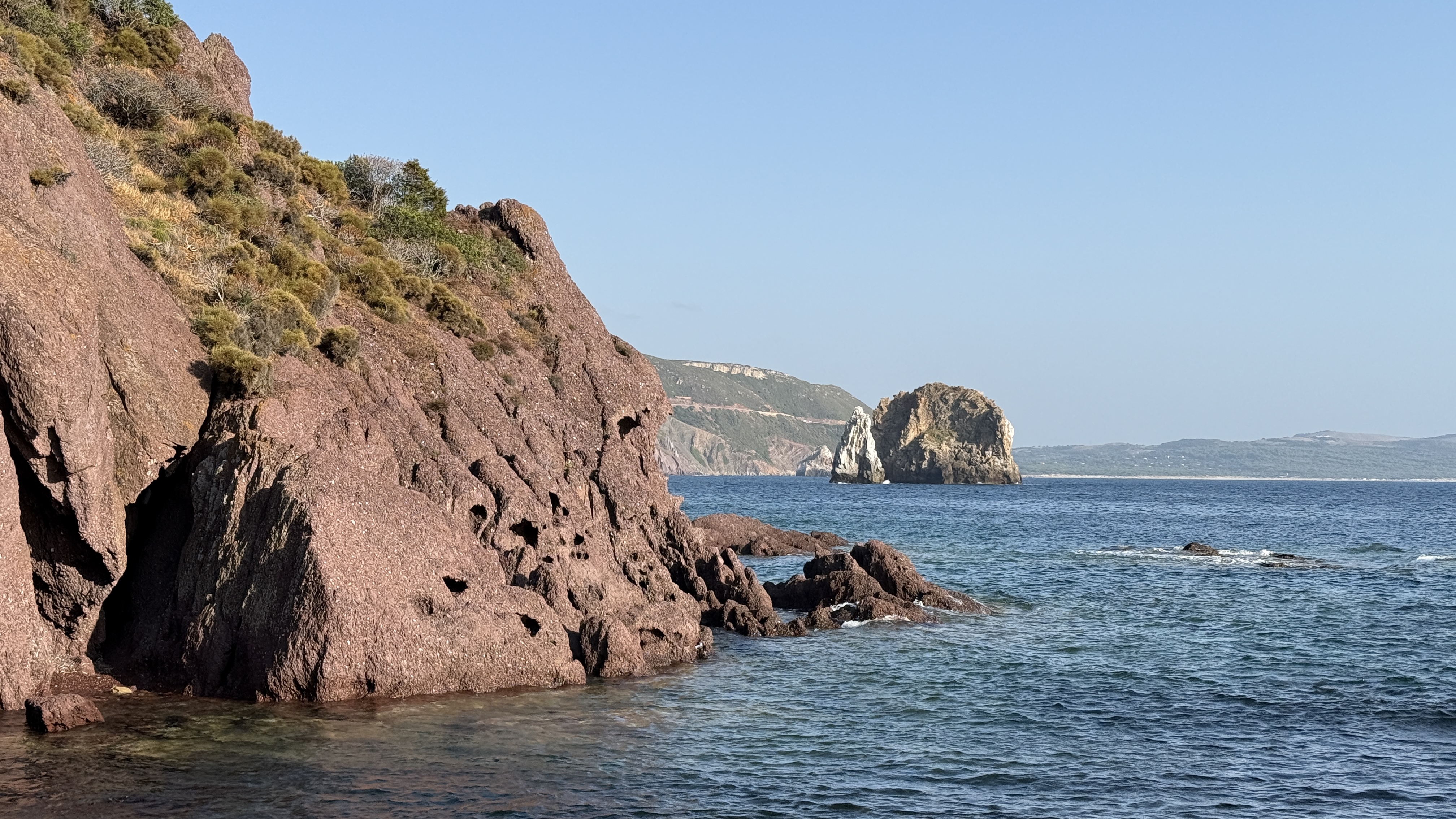 photo of nature