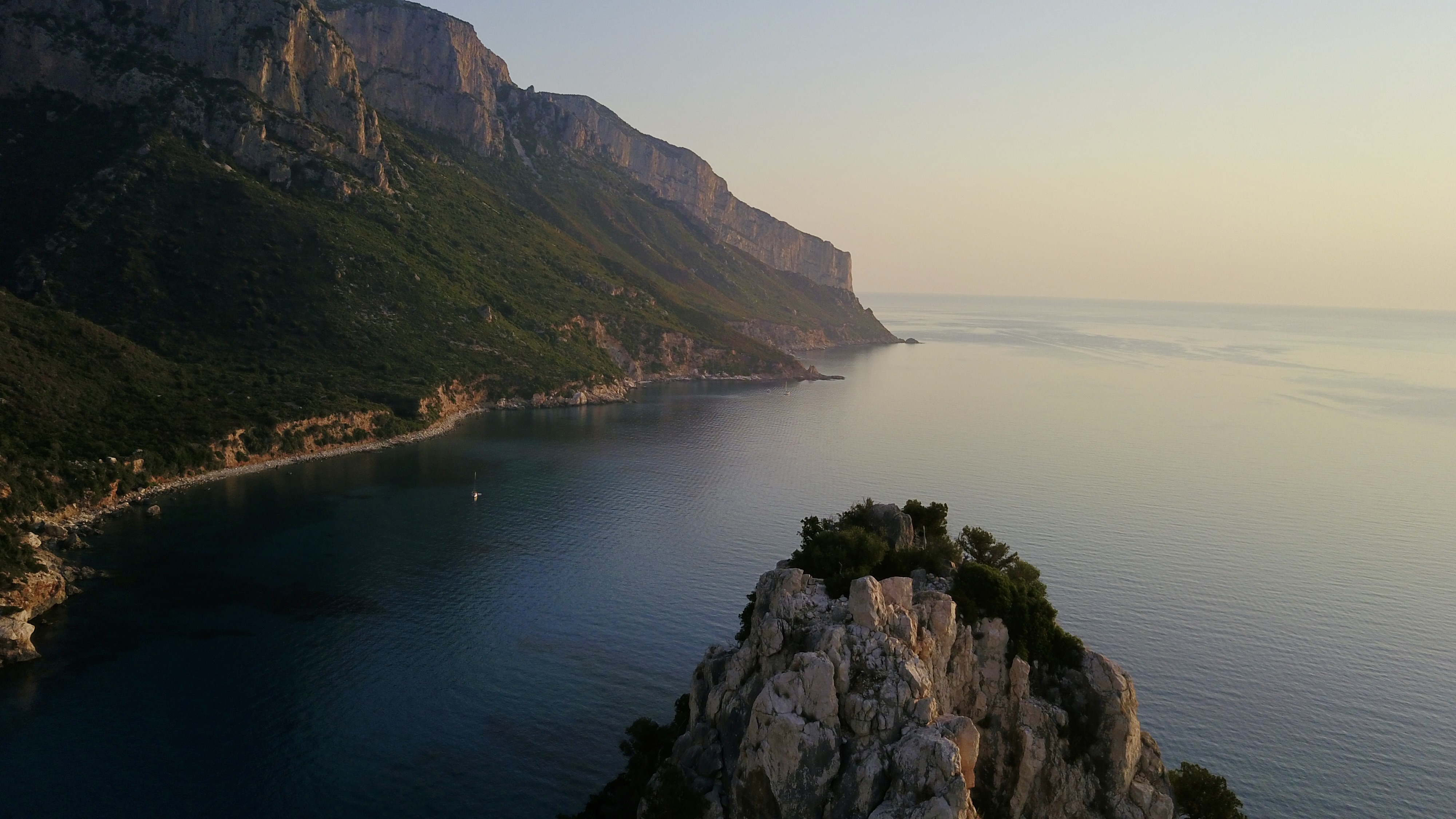 photo of nature