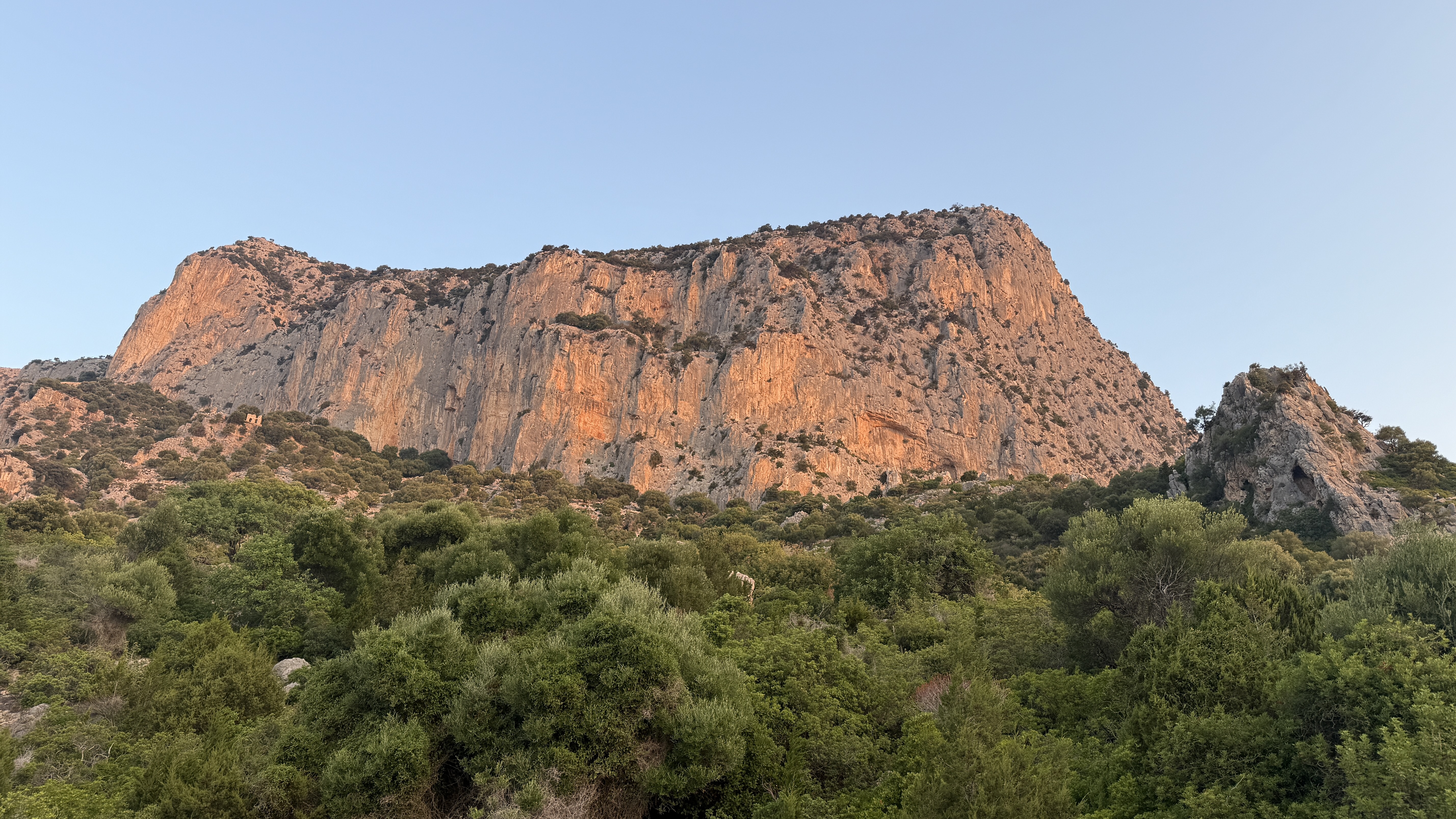photo of nature