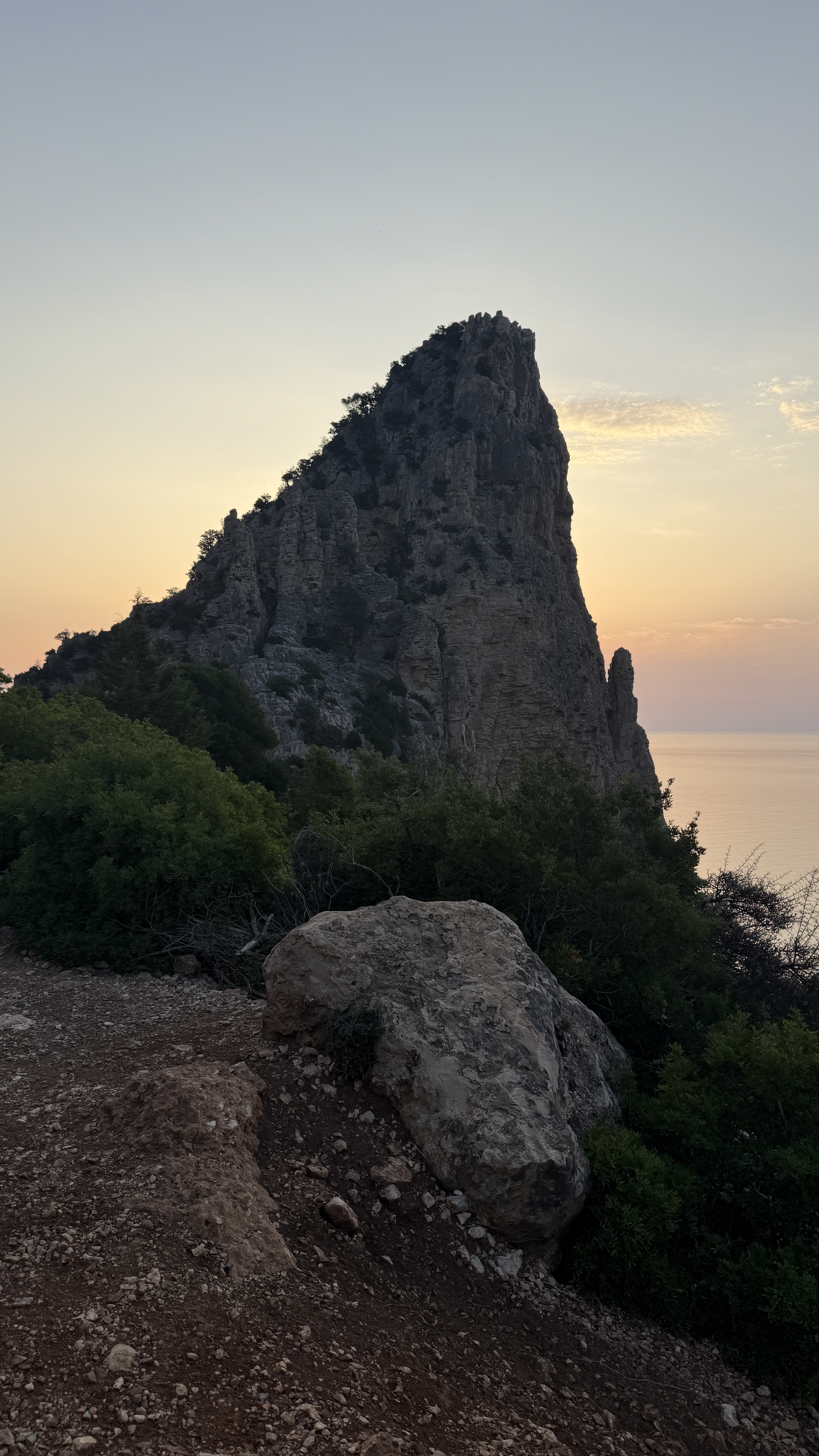 photo of nature