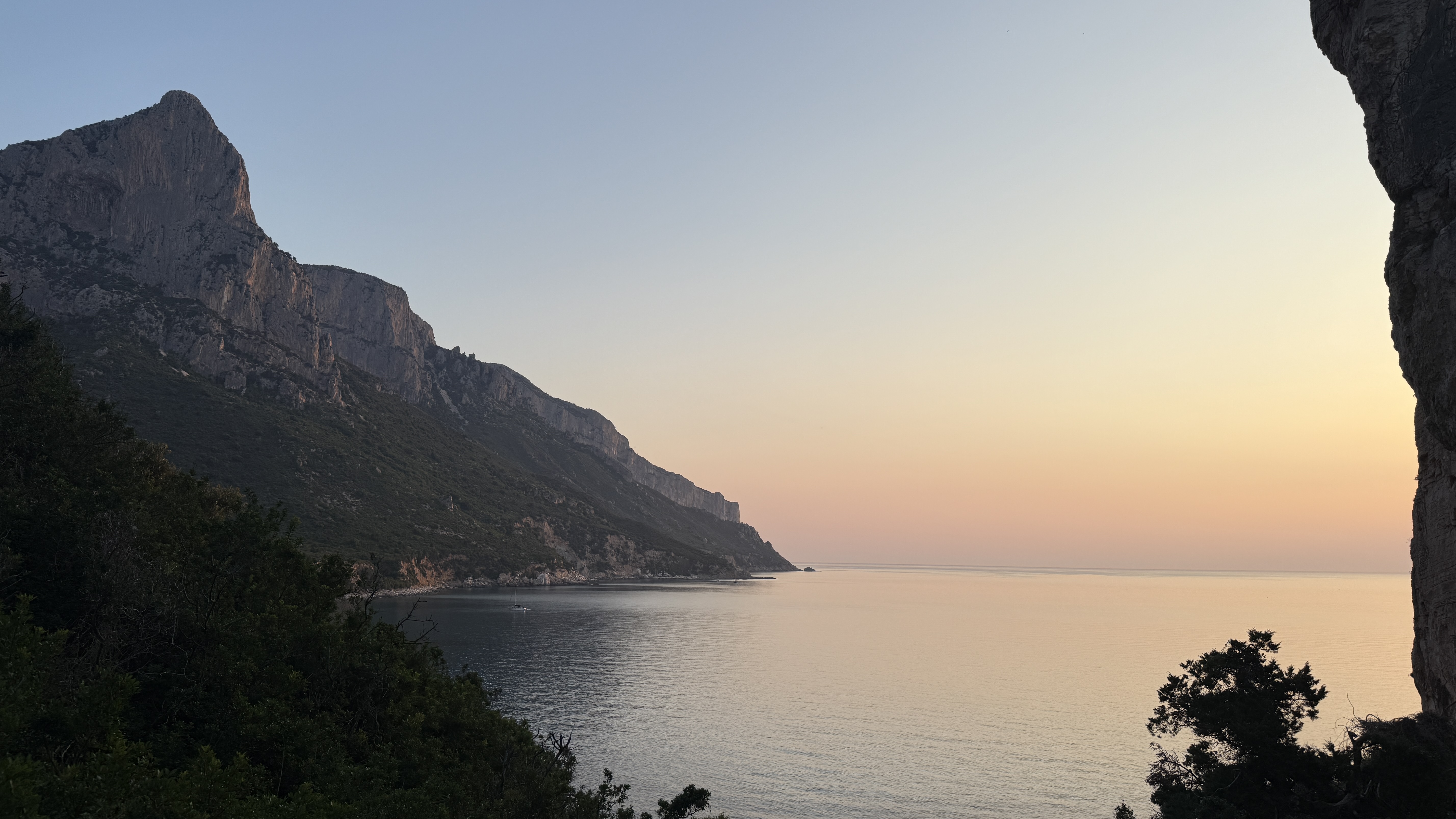 photo of nature